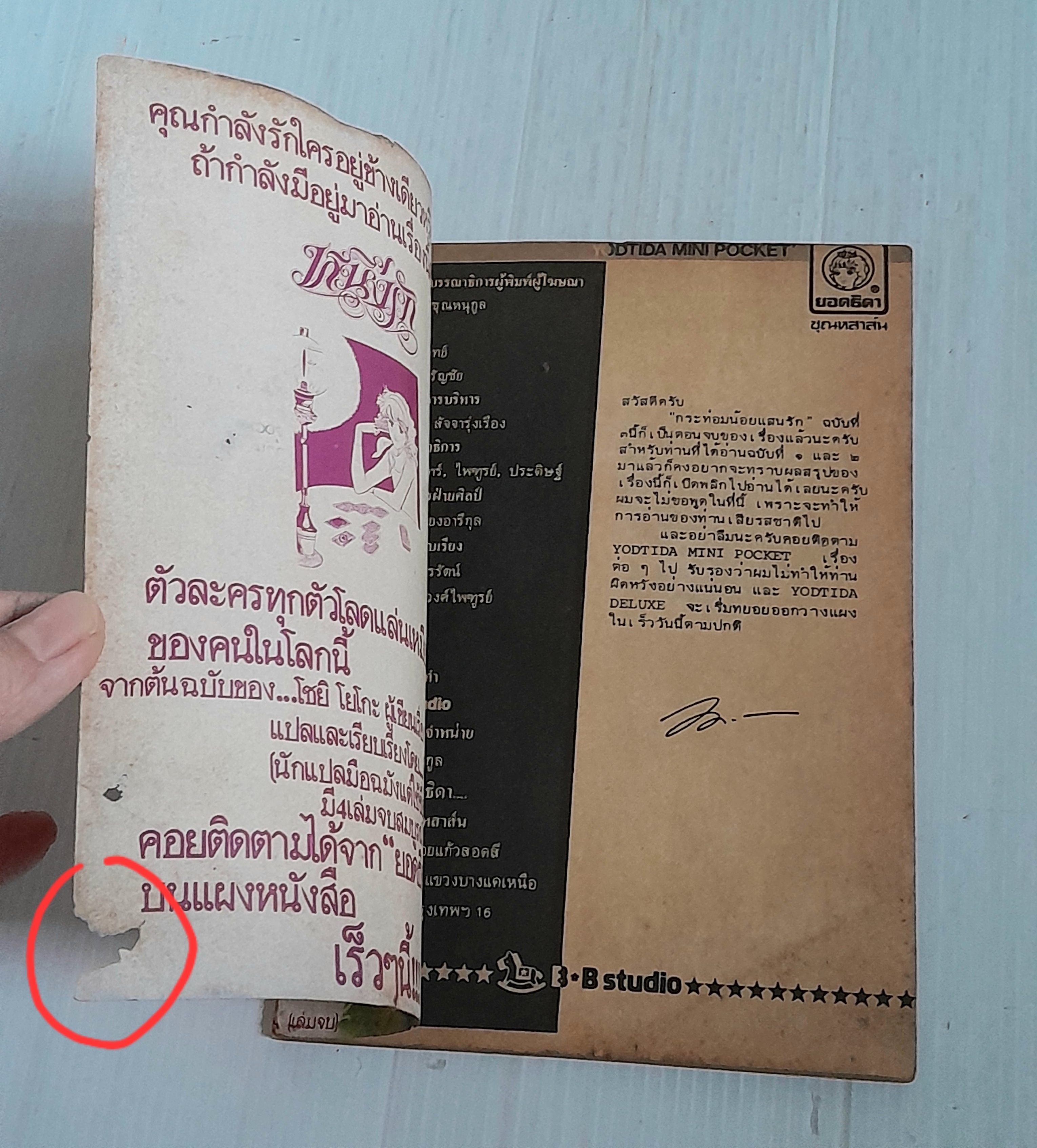 กระท่อมน้อยแสนรัก เล่ม 3 (3 เล่มจบ) / Igarashi Yumiko