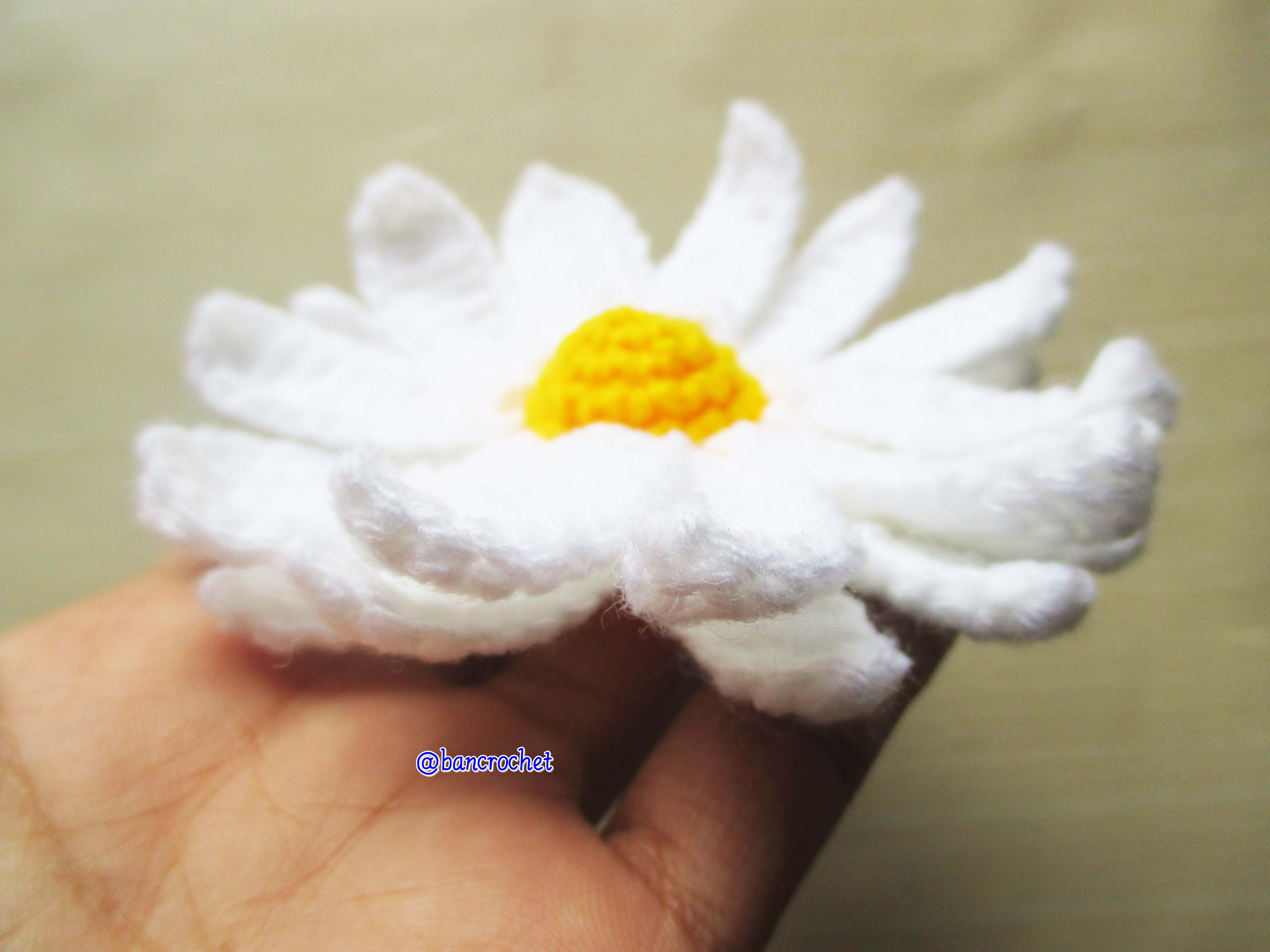 Bancrochet ดอกเดซี่ถักโครเชต์ Crochet Daisy Flower ขาว 3 inch