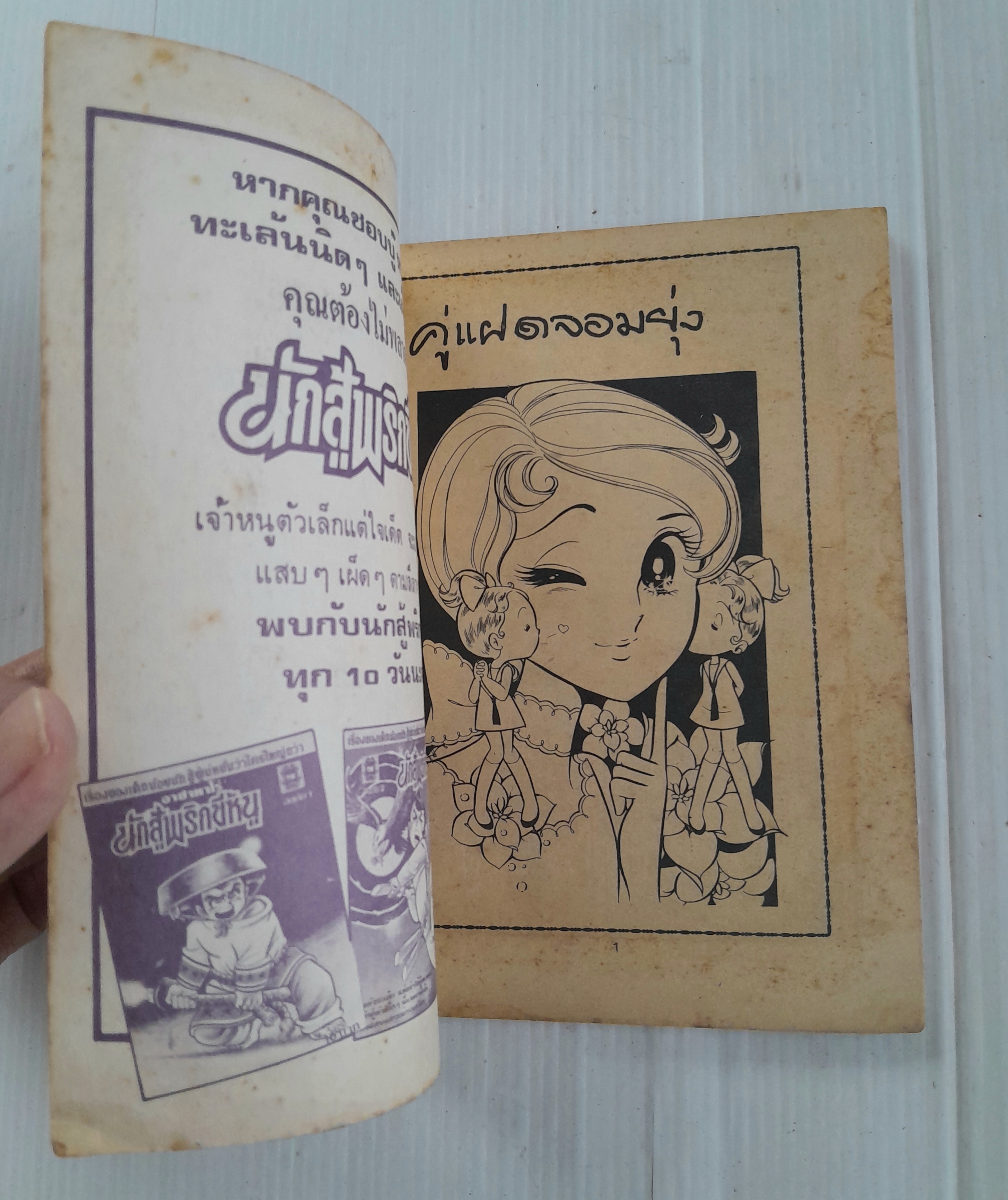 อาณาจักรพิศดาร (เล่มเดียวจบ)