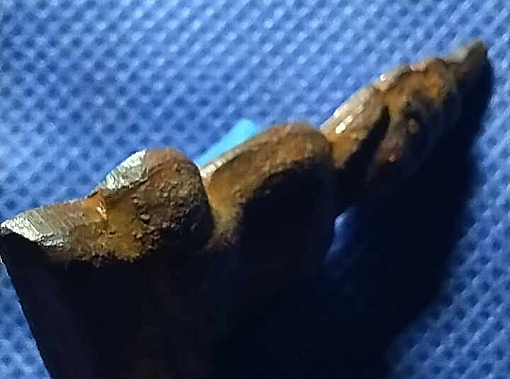 พระท่ากระดาน วัดต้นลำใย