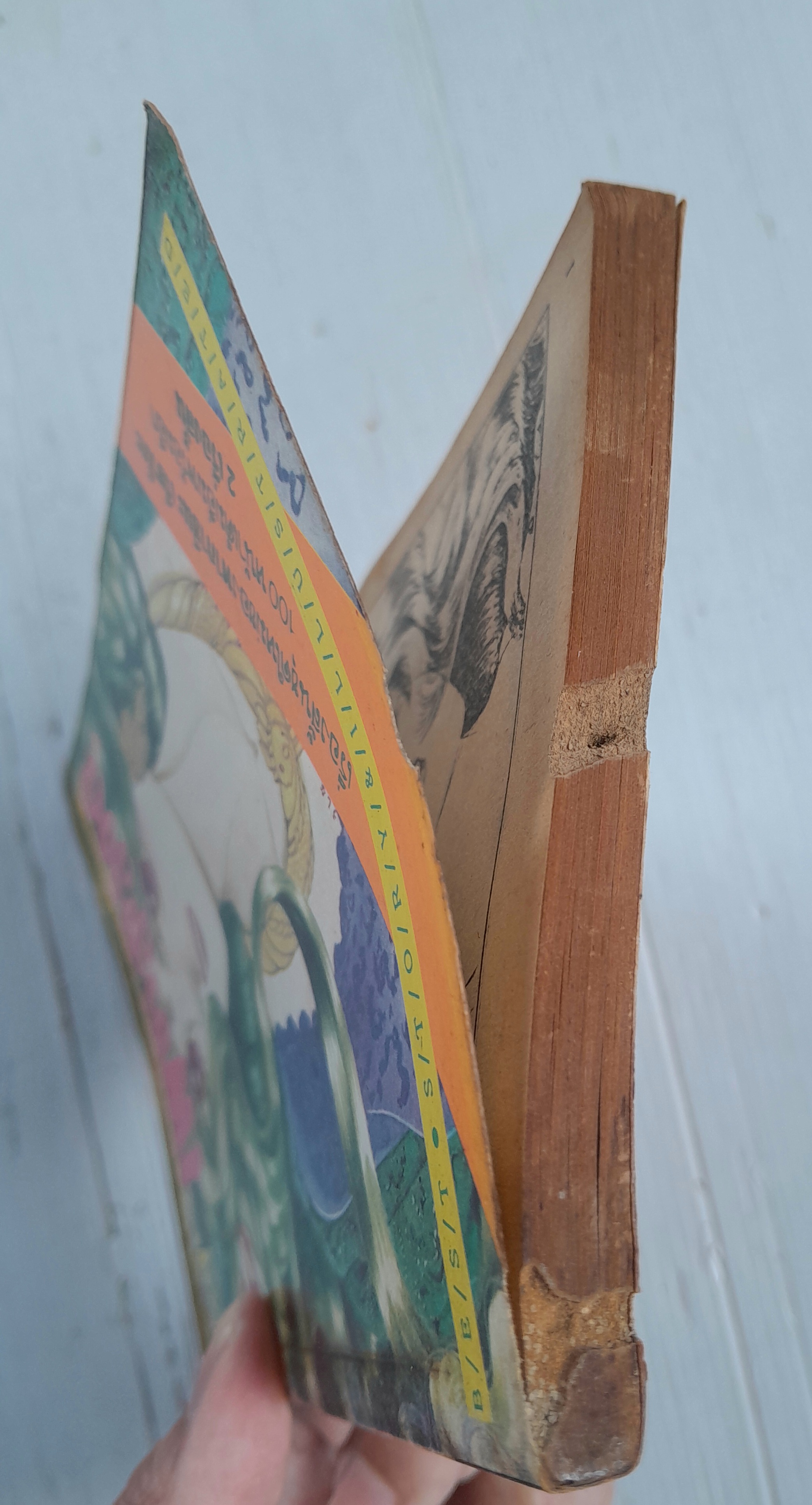 เพชรสีเลือด (เล่มเดียวจบ) / ทากาชินะ เรียวโกะ