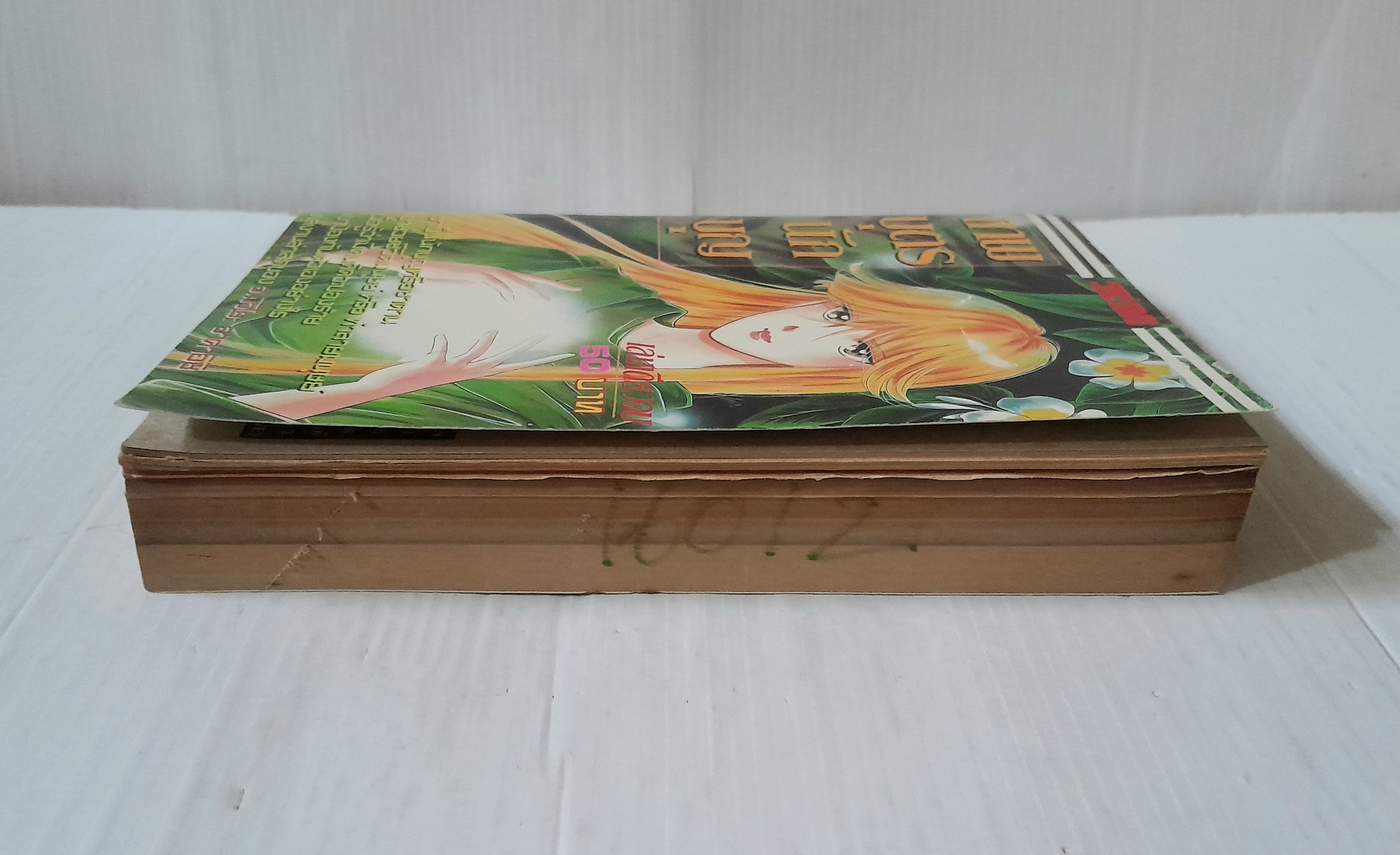 เทพบุตรนักบุญ (เล่มเดียวจบ) / มิจิโยะ อาคาอิชิ