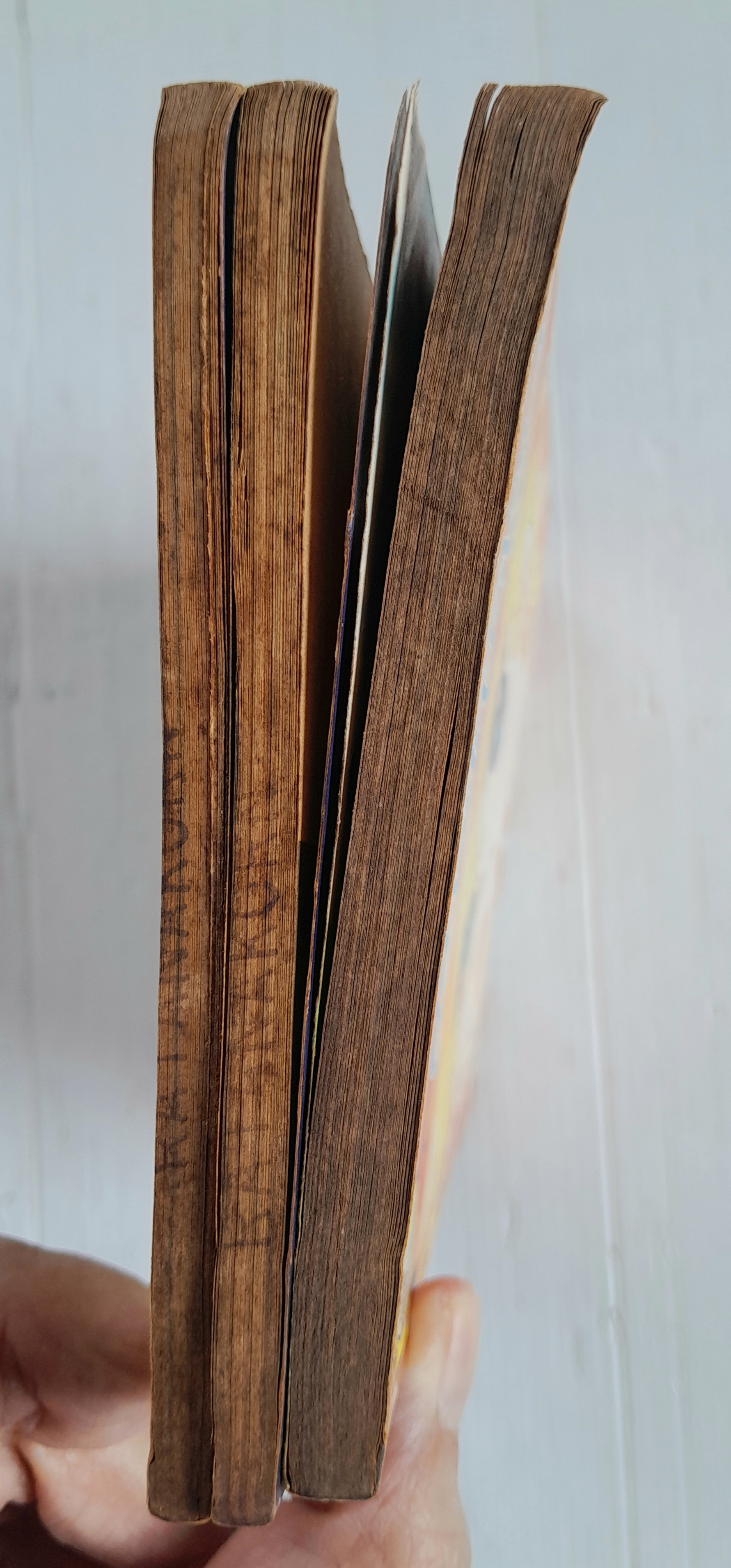 ละครสัตว์ที่รัก 3 เล่มจบ / อิงาราชิ ยูมิโกะ