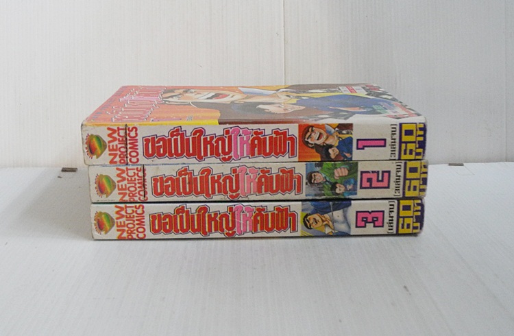 ขอเป็นใหญ่ให้คับฟ้า 3 เล่มจบ /โอชิม่า ยาสึอิจิ