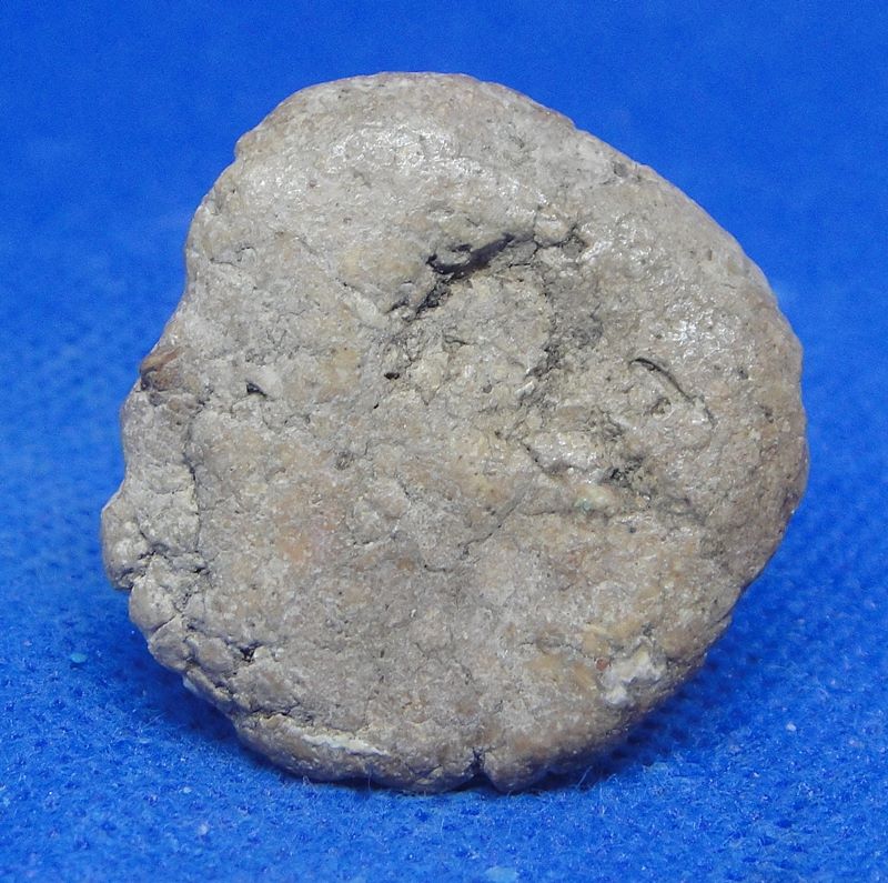 สาริกาเนื้อผงสมเด็จ