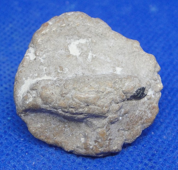 สาริกาเนื้อผงสมเด็จ