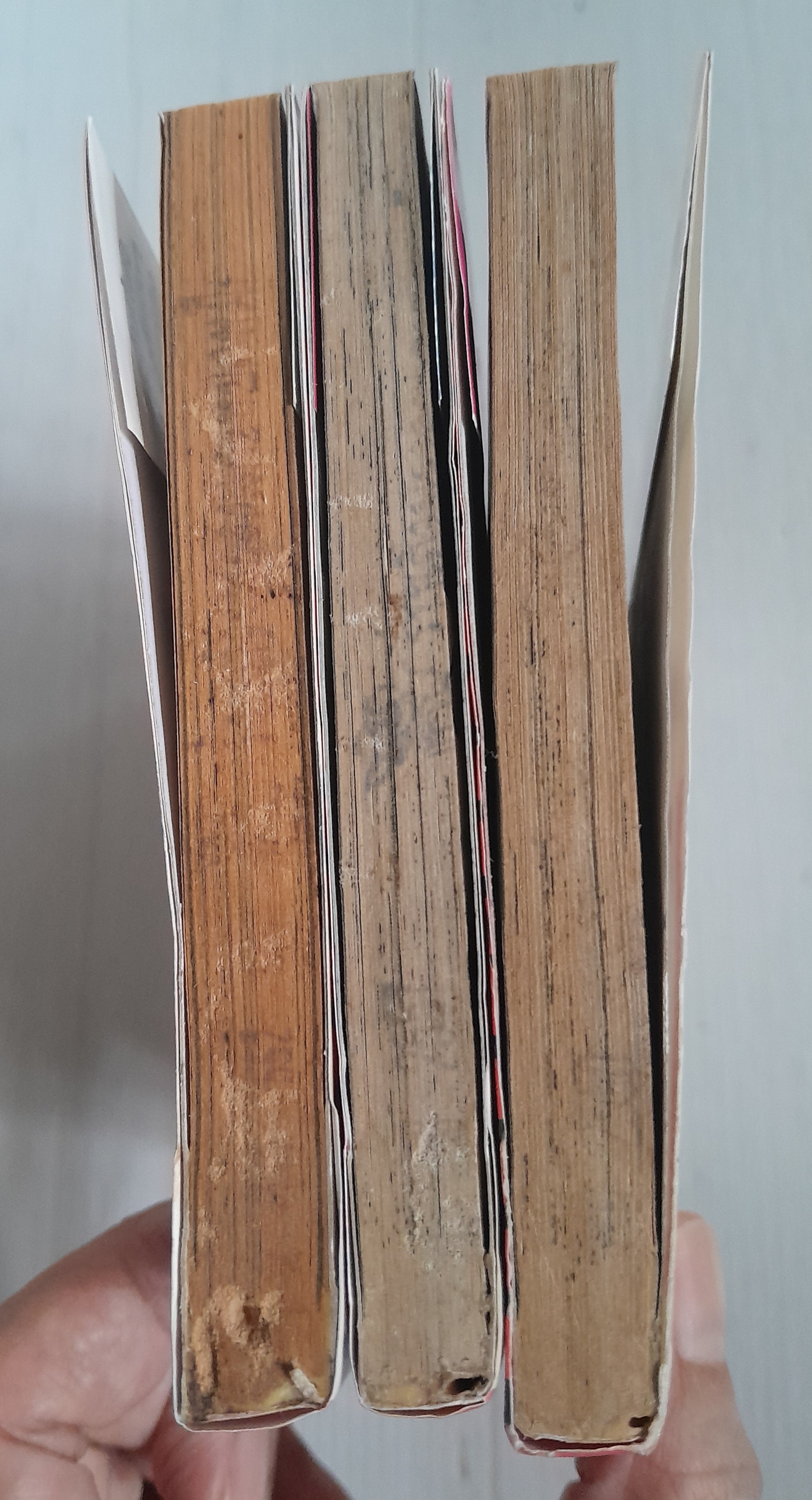 RAVE ไดอารี่ของหมาพลู 3 เล่มจบ