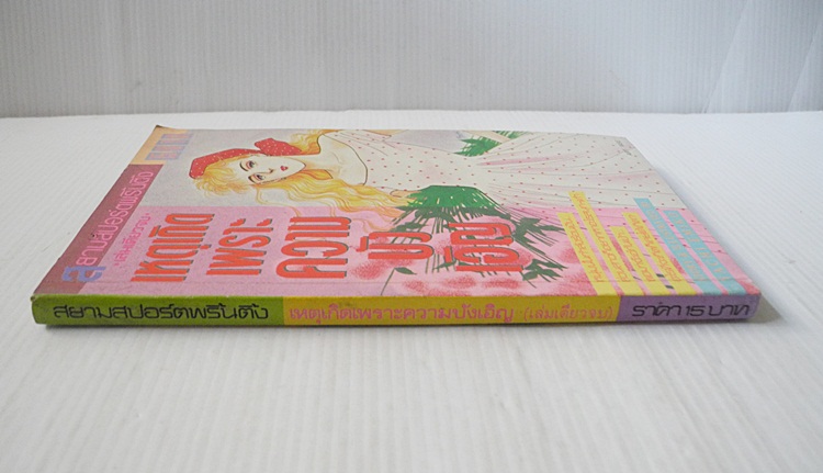 เหตุเกิดเพราะความบังเอิญ (เล่มเดียวจบ) / YACHI EMIKO