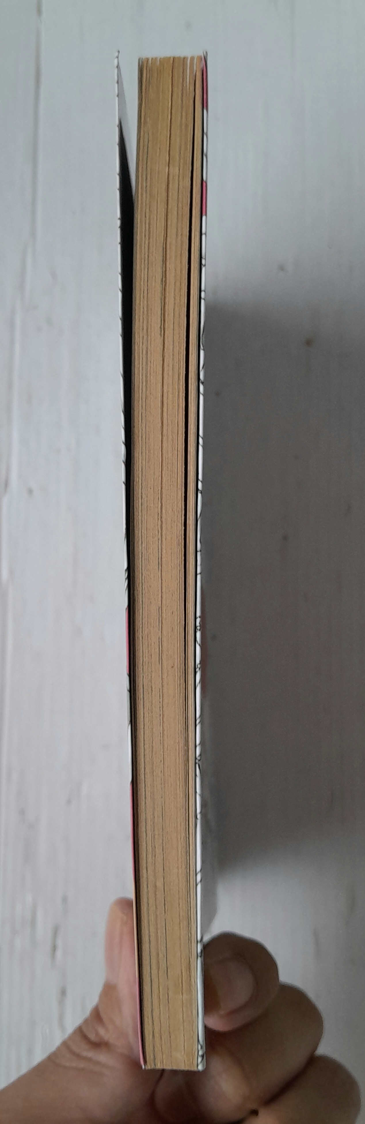 Oh! My Goddess เล่ม 48 (48 เล่มจบ) / Kosuke Fujishima