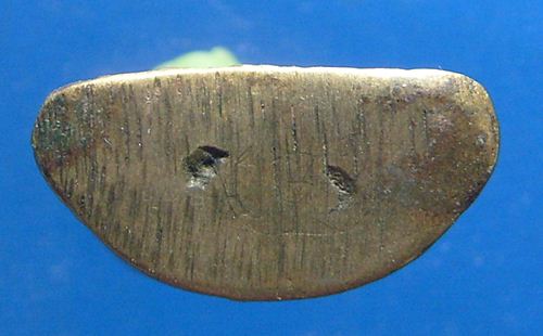 หลวงพ่อเดิม รุ่นยายพวง