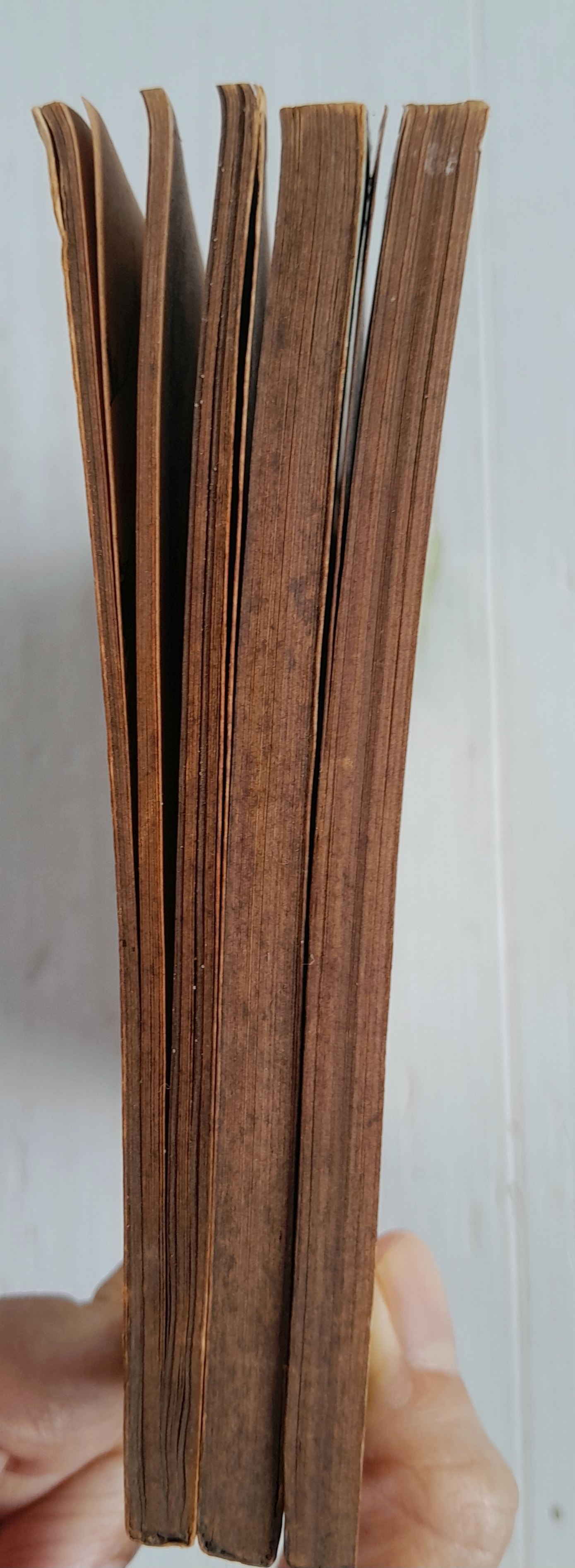 โอโบะ&อายามะ 3 เล่มจบ / ยูซึกิ ฮิคารุ