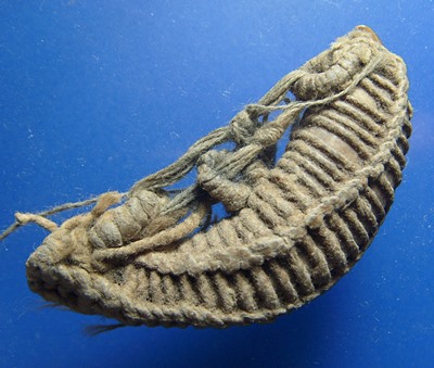 เขี้ยวหมูตัน