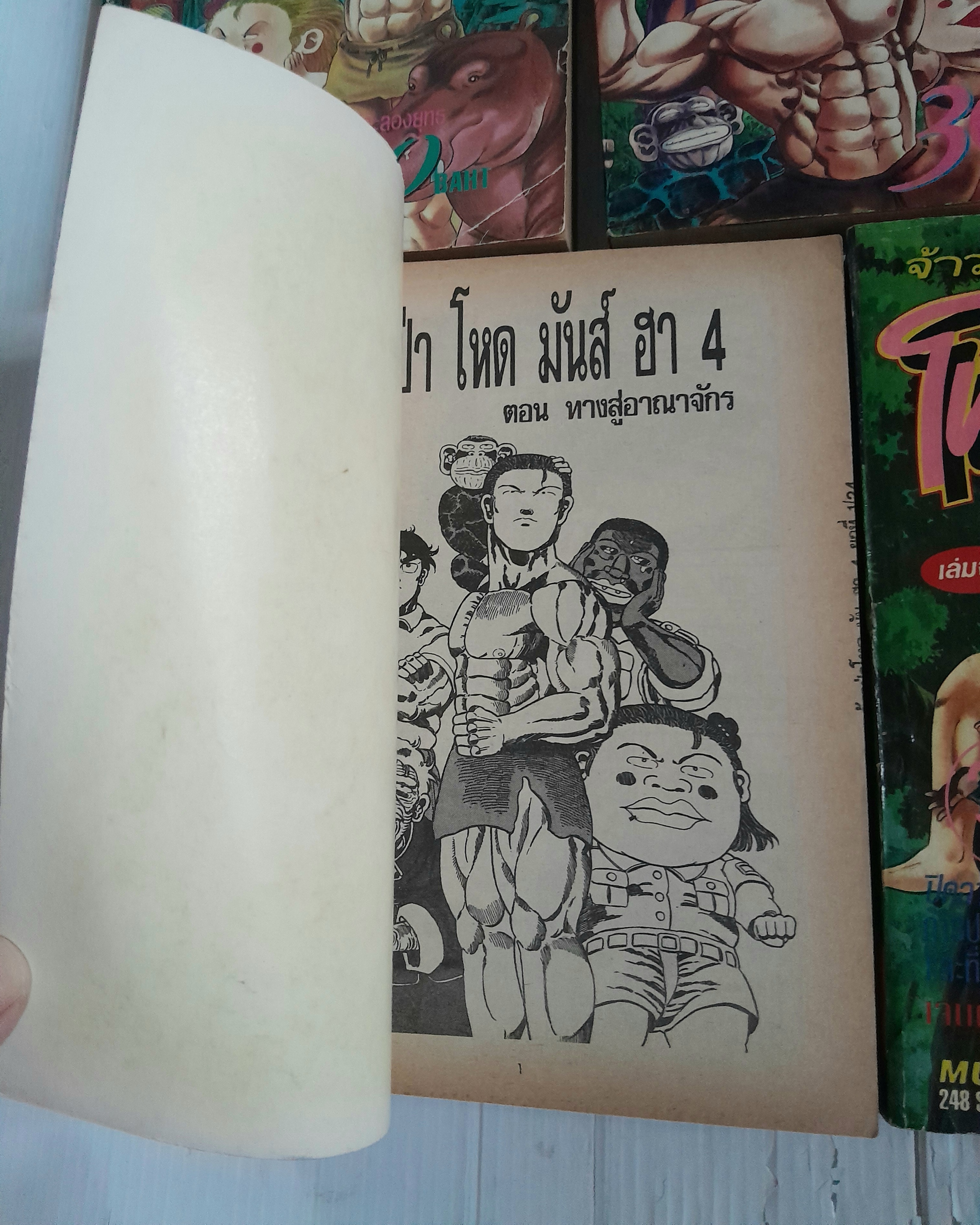 จ้าวป่า โหด มันส์ ฮา (ภาคพิเศษ) 5 เล่มจบ
