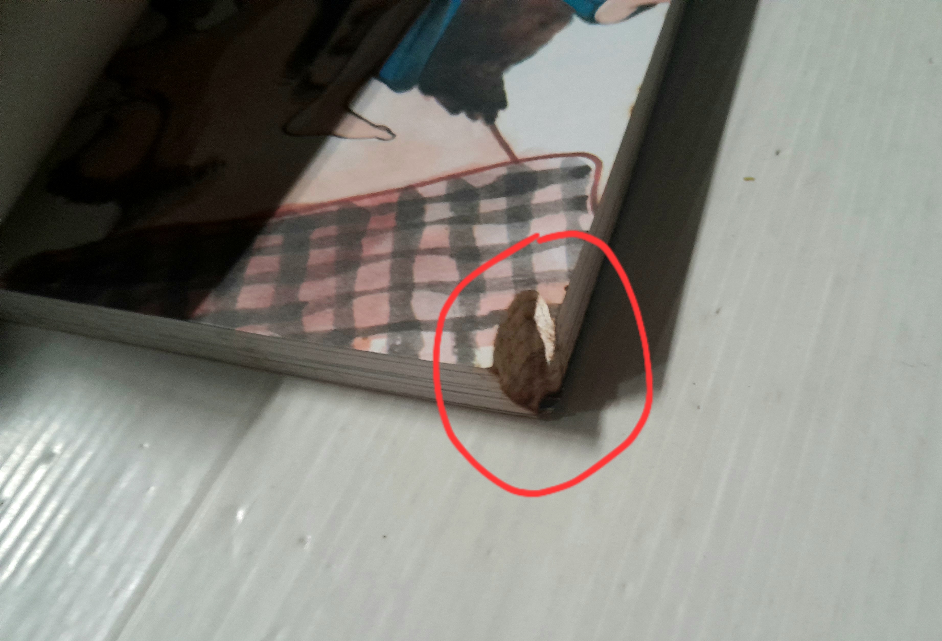 คุณพ่อที่รัก (เล่มเดียวจบ) / Adachi Mitsuru