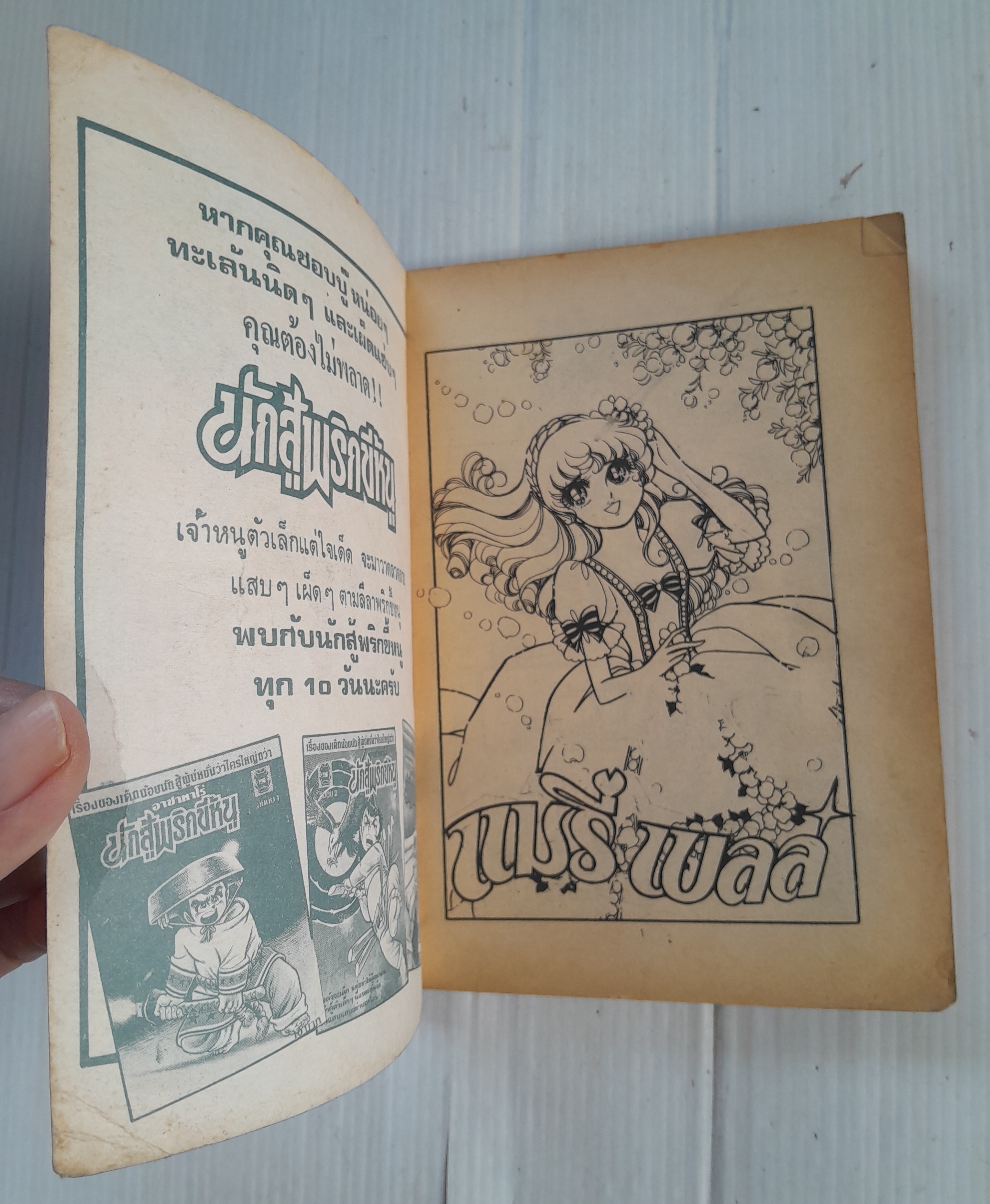 แมรี่ เบลล์ เล่ม 8