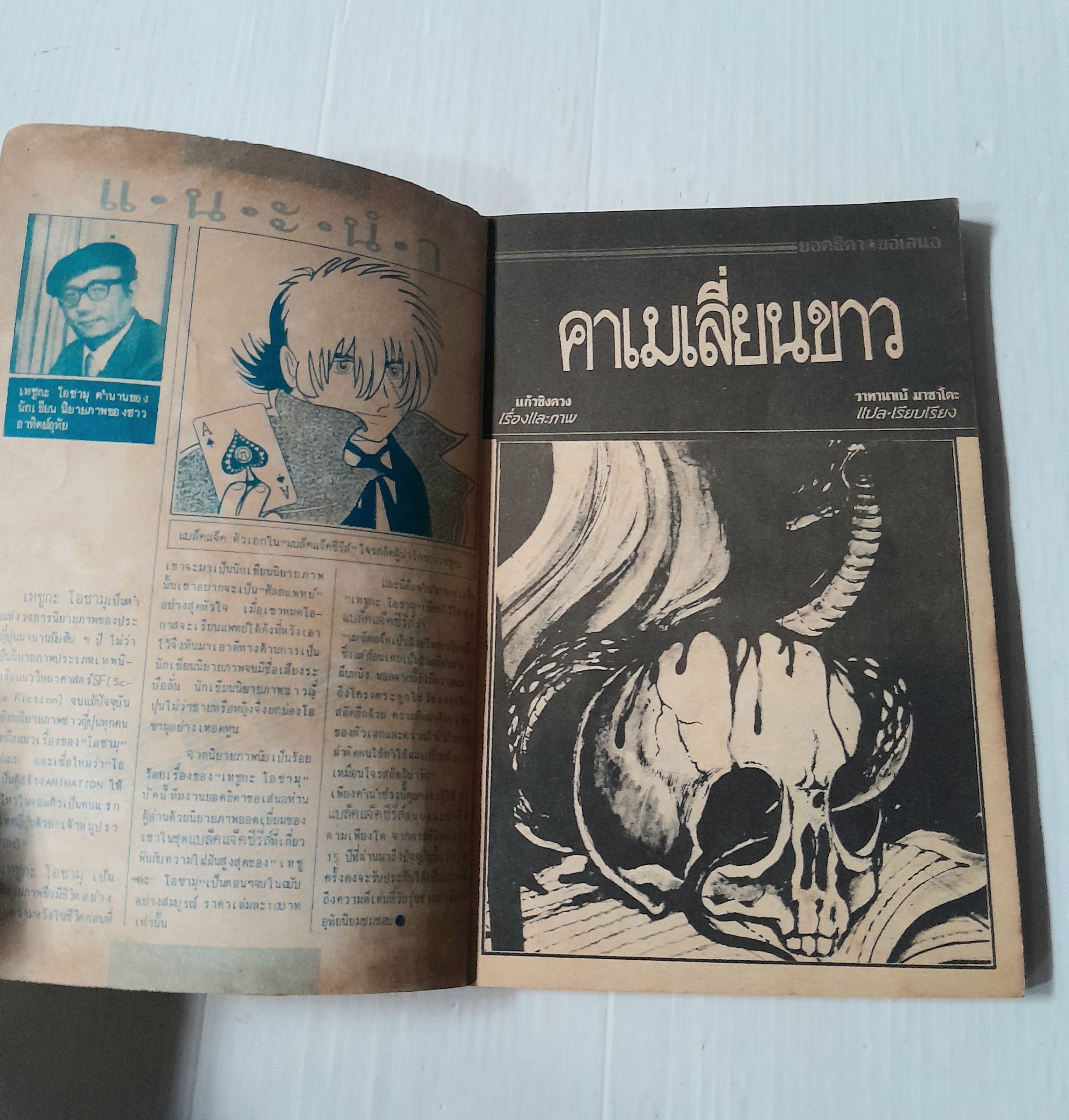 คาเมเลี่ยนขาว (เล่มเดียวจบ) / วาทานาเบ้ มาซาโตะ