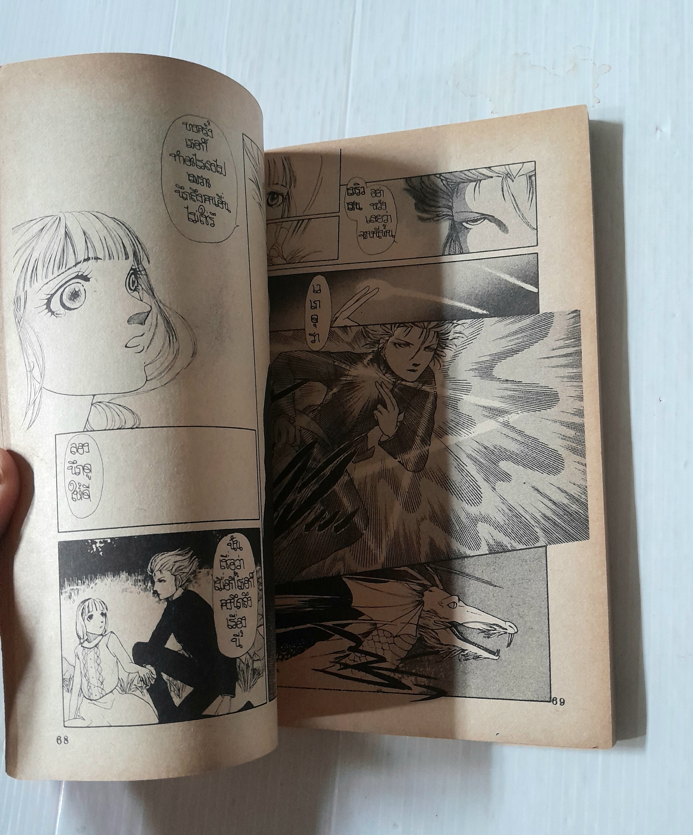 อาคิสึชิมะ นักสู้ลายมังกร เล่ม 1 (2 เล่มจบ) / Utsugi Toriko