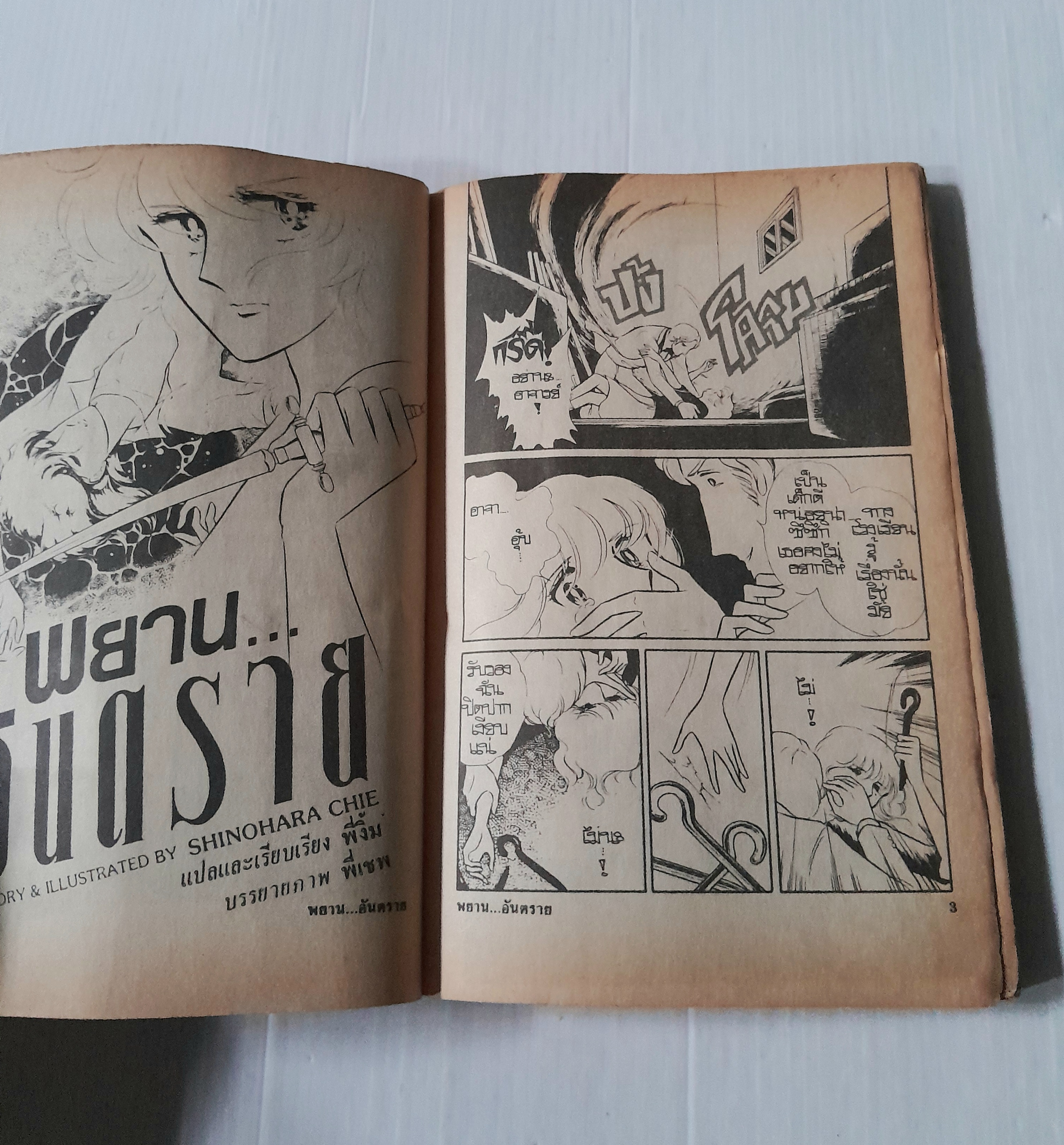 พยาน.. อันตราย (เล่มเดียวจบ) / Shinohara Chie