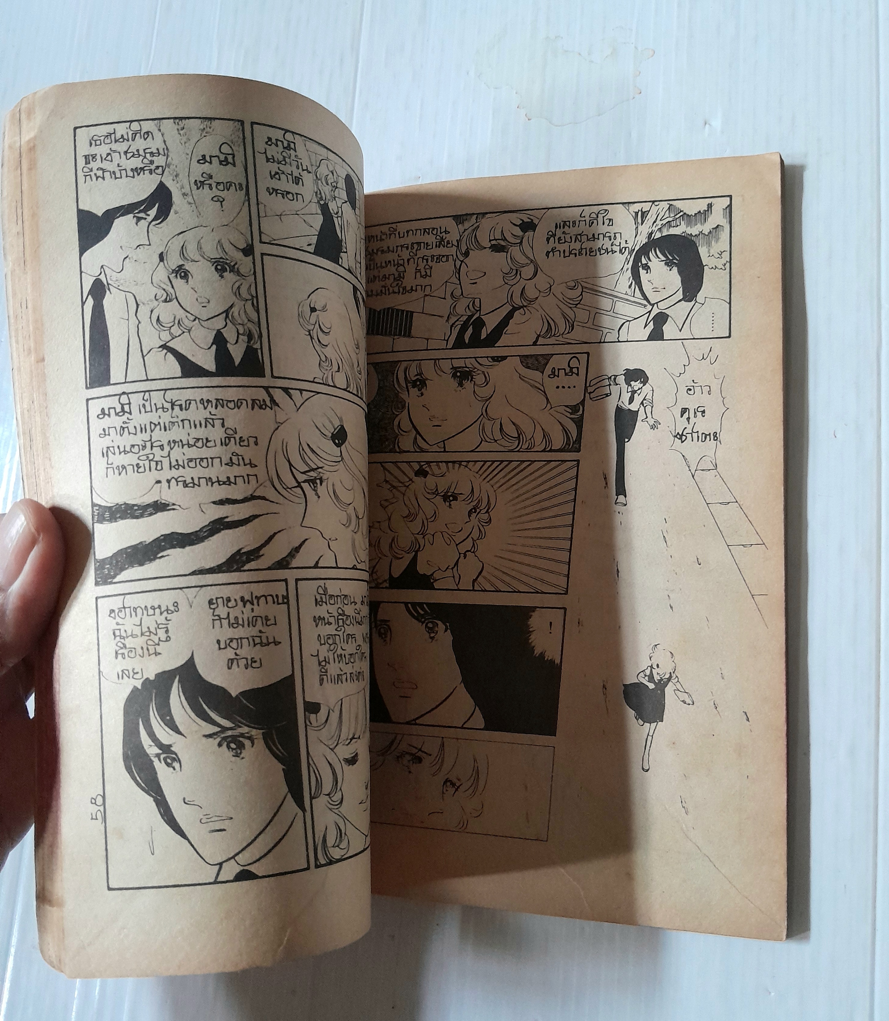 มรสุมรัก เล่ม 1 (2 เล่มจบ)