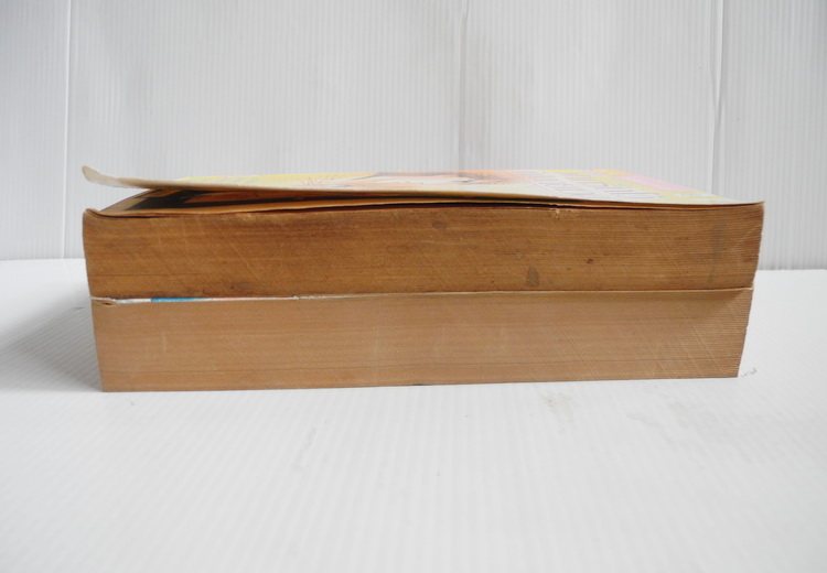 ฝากรักไว้ที่ปลายเวลา 2 เล่มจบ / ฮิคาวะ เคียวโกะ