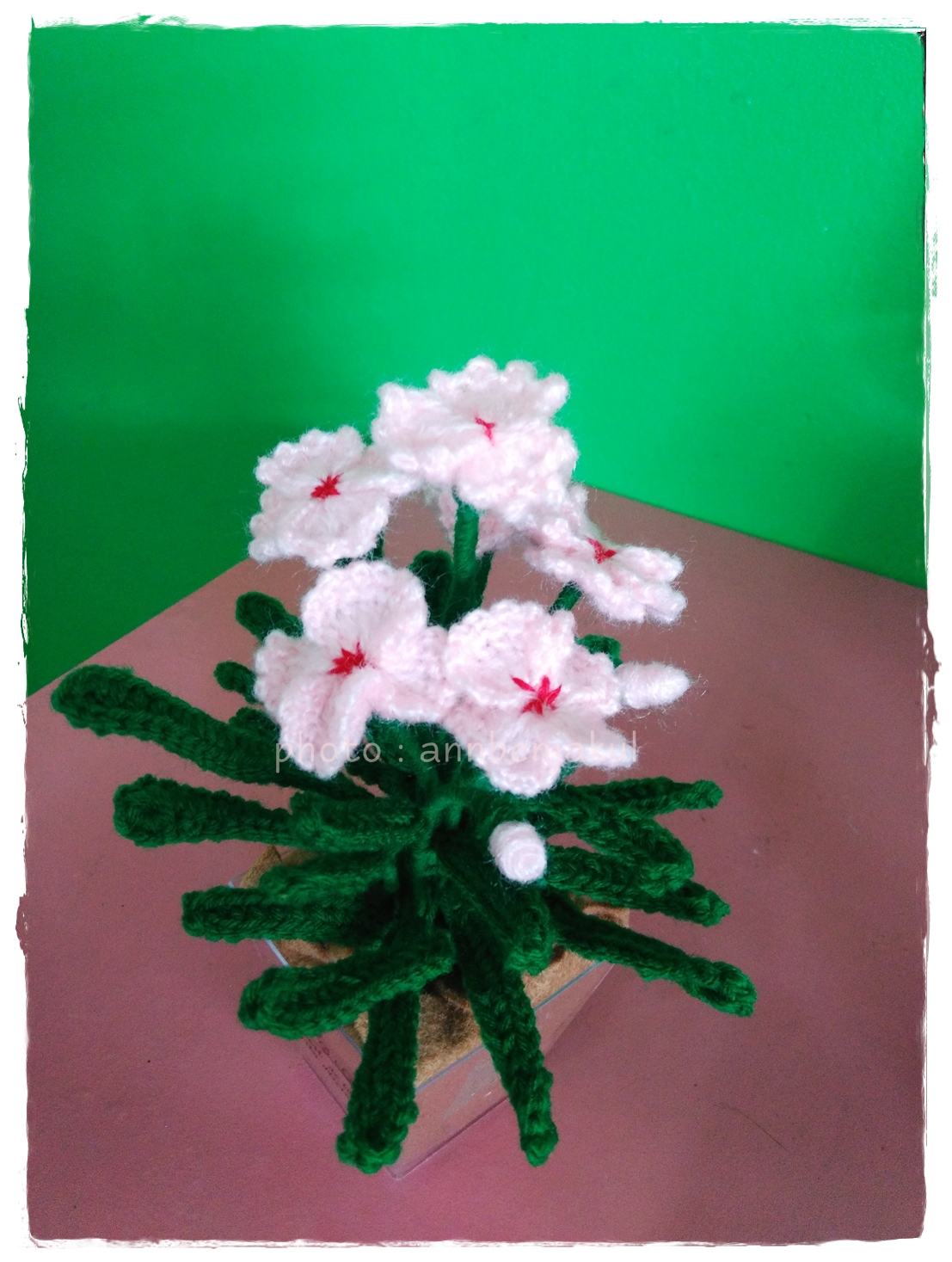 ดอกผีเสื้อถัก