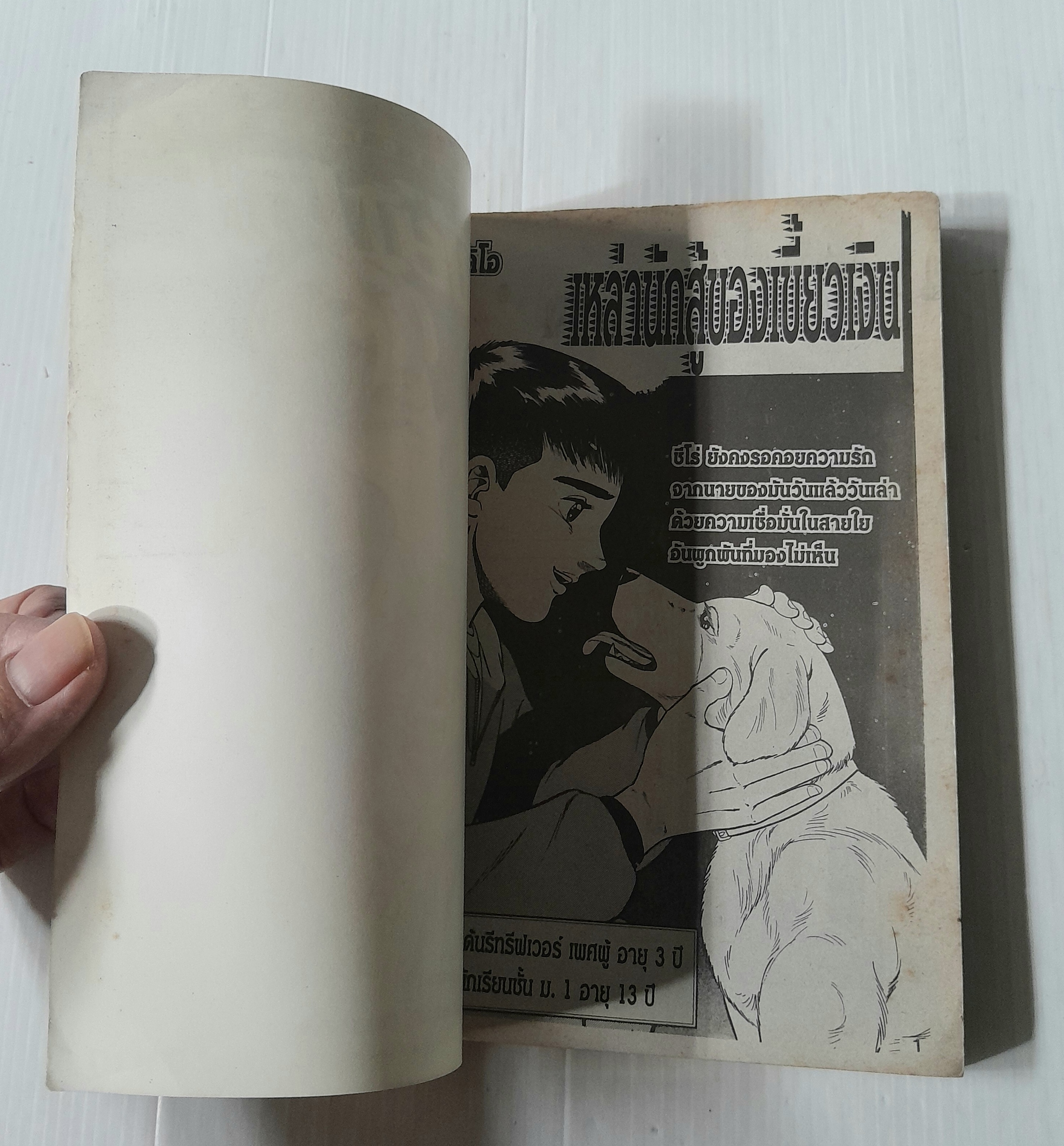 ตำนานเหล่านักสู้ของเขี้ยวเงิน (เล่มเดียวจบ)