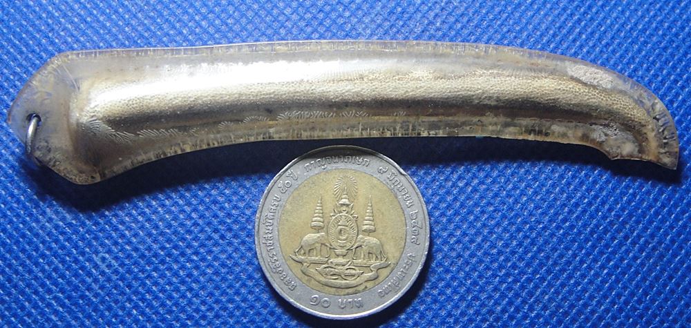 กระดูกอีแร้ง