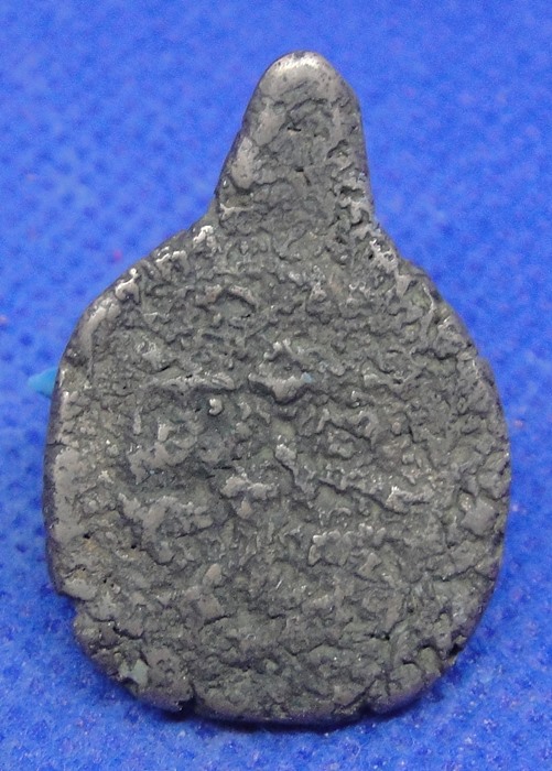 เต่าหลวงพ่อเงิน