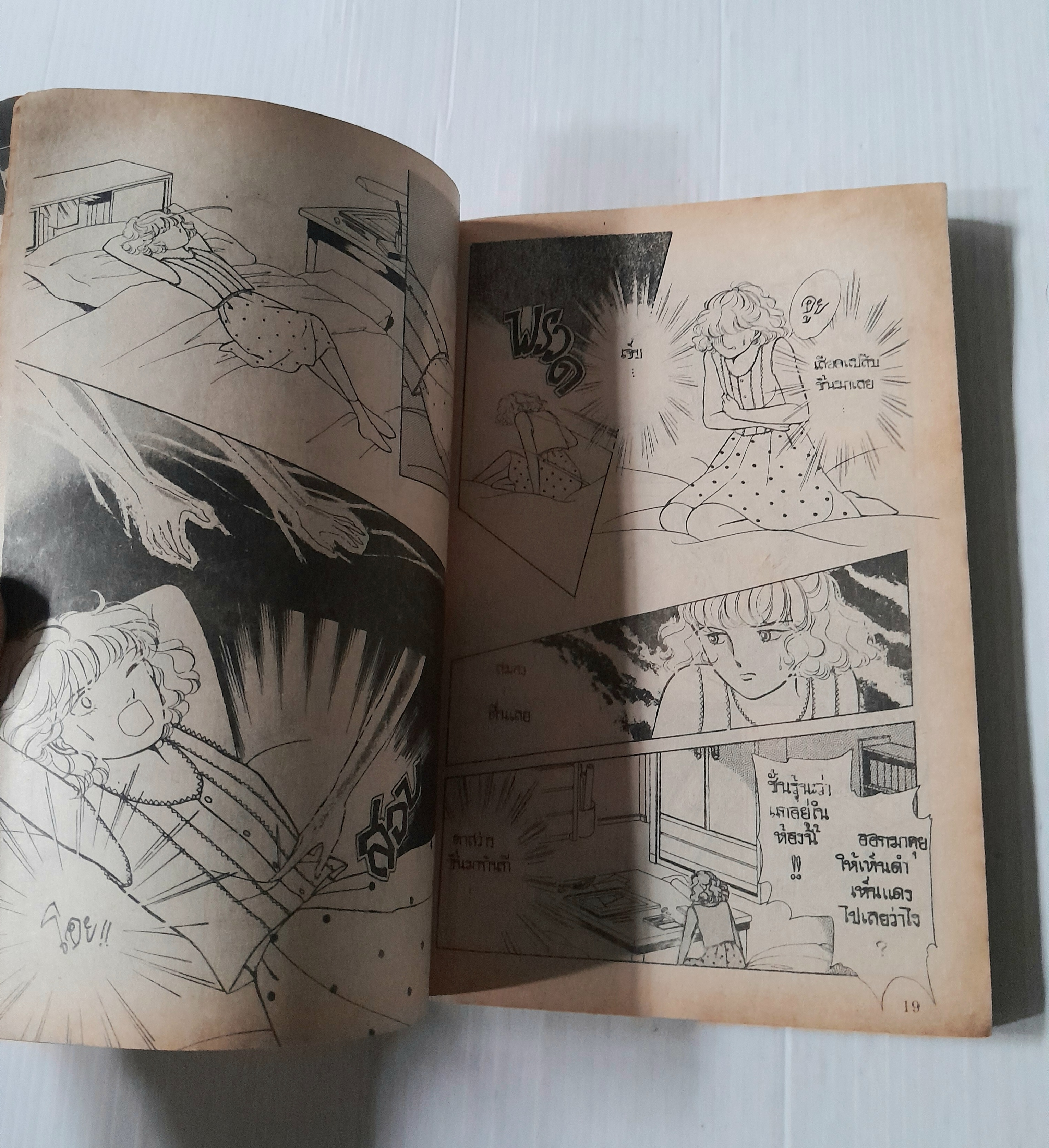 วิญญาณที่ผูกพัน (เล่มเดียวจบ)