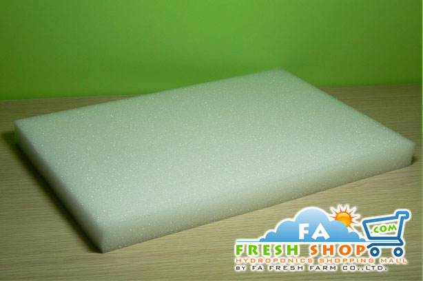 ฟองน้ำเพาะไฮโดรโปนิกส์