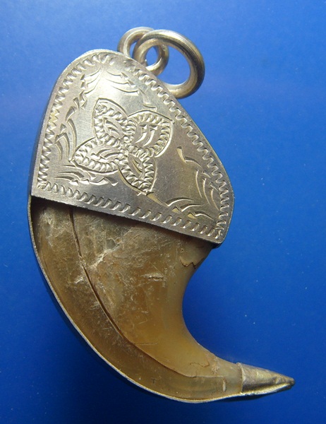 เล็บเสือ