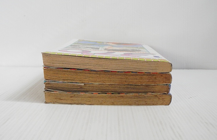 37 องศาอุณหภูมิของเธอกับฉัน 4 เล่มจบ / Fumika Okano