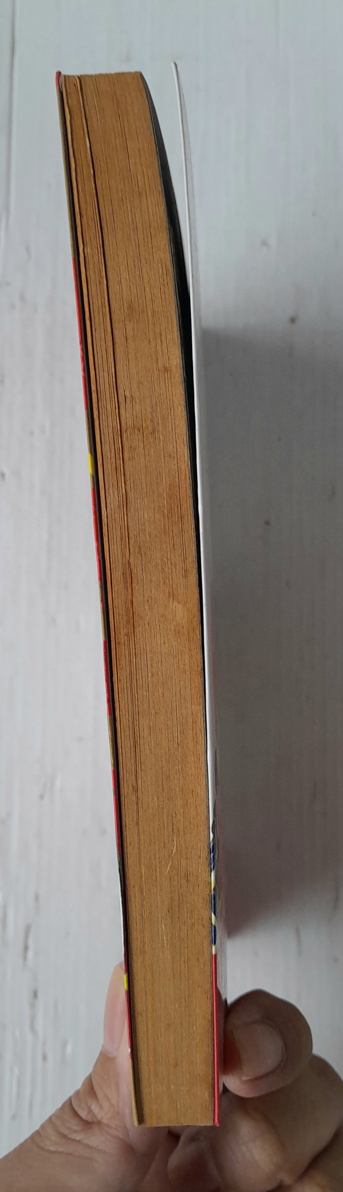 รันม่า 1/2 เล่ม 38 (38 เล่มจบ) / Takahashi Rumiko