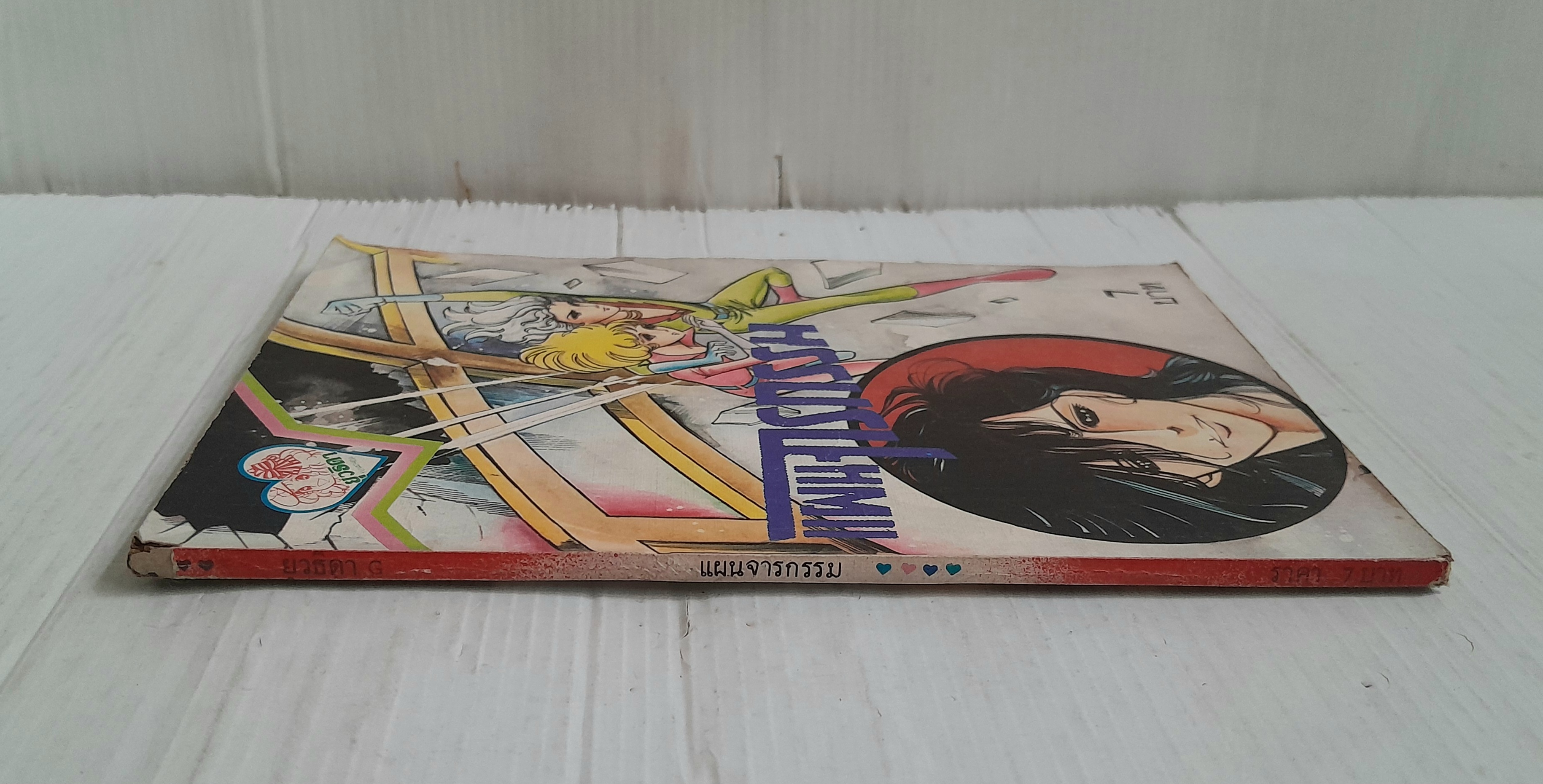 แผนโจรกรรม (เล่มเดียวจบ)