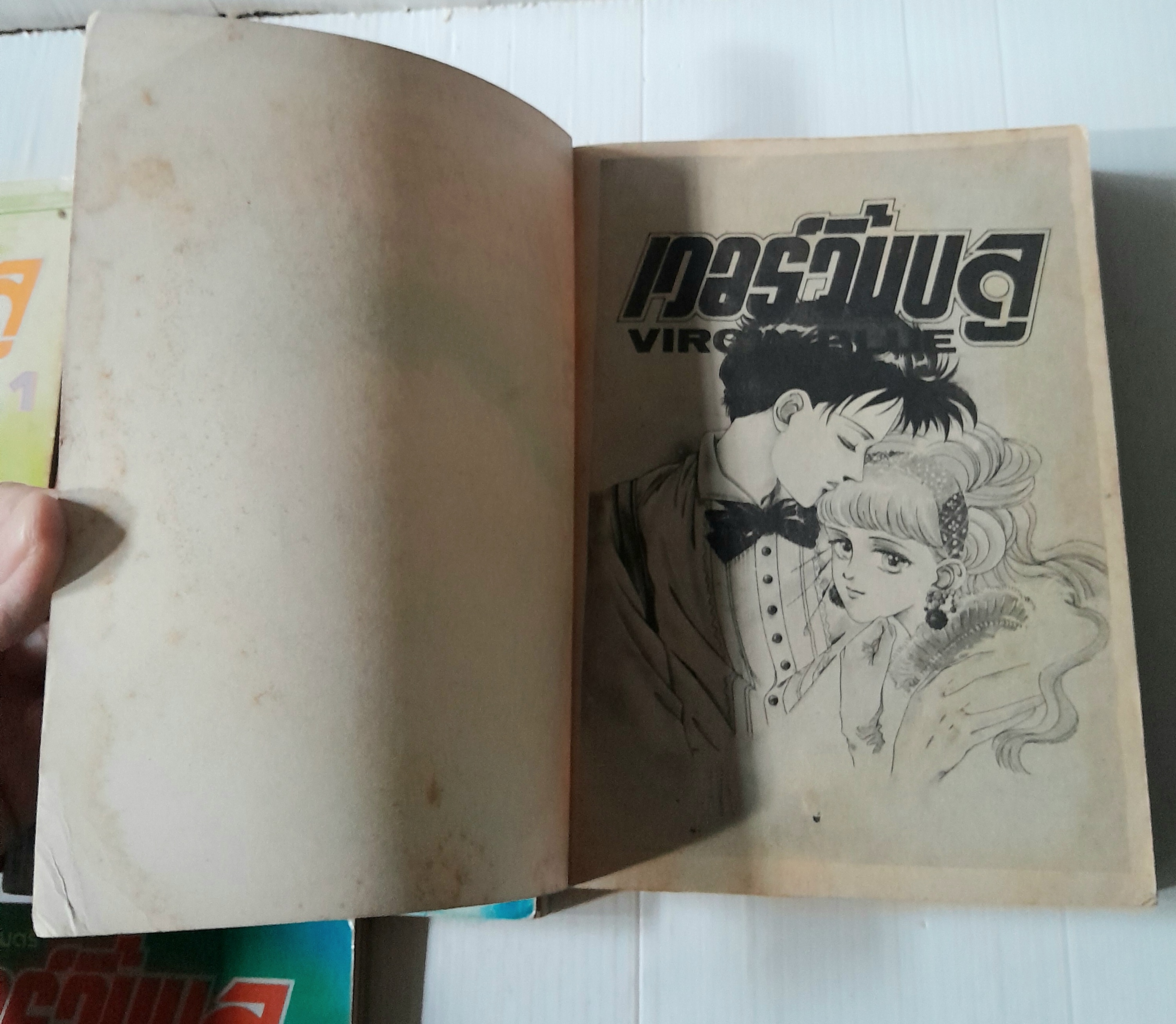 VIRGIN BLUE 4 เล่มจบ / Morioka Mari