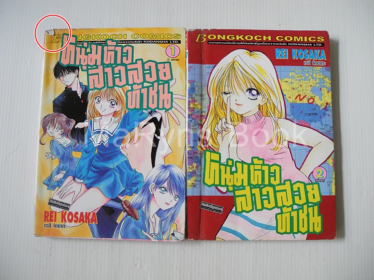 หนุ่มห้าวสาวสวยท้าชน 2 เล่มจบ / Rei kosaka