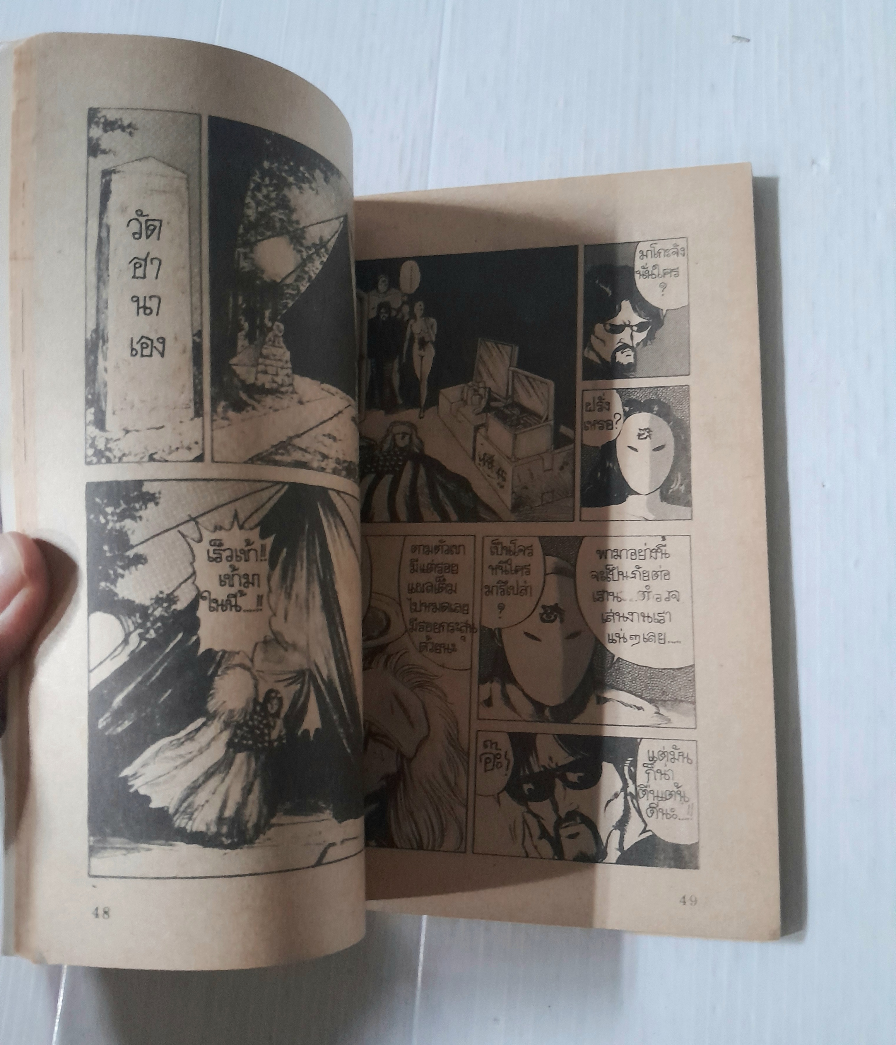 ้เพลิงแค้นราชสีห์ เล่ม 2 (2 เล่มจบ)