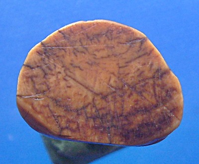 พระปิดตางาแกะ