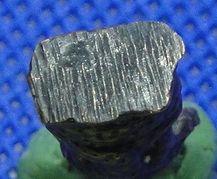 พระนาตปก