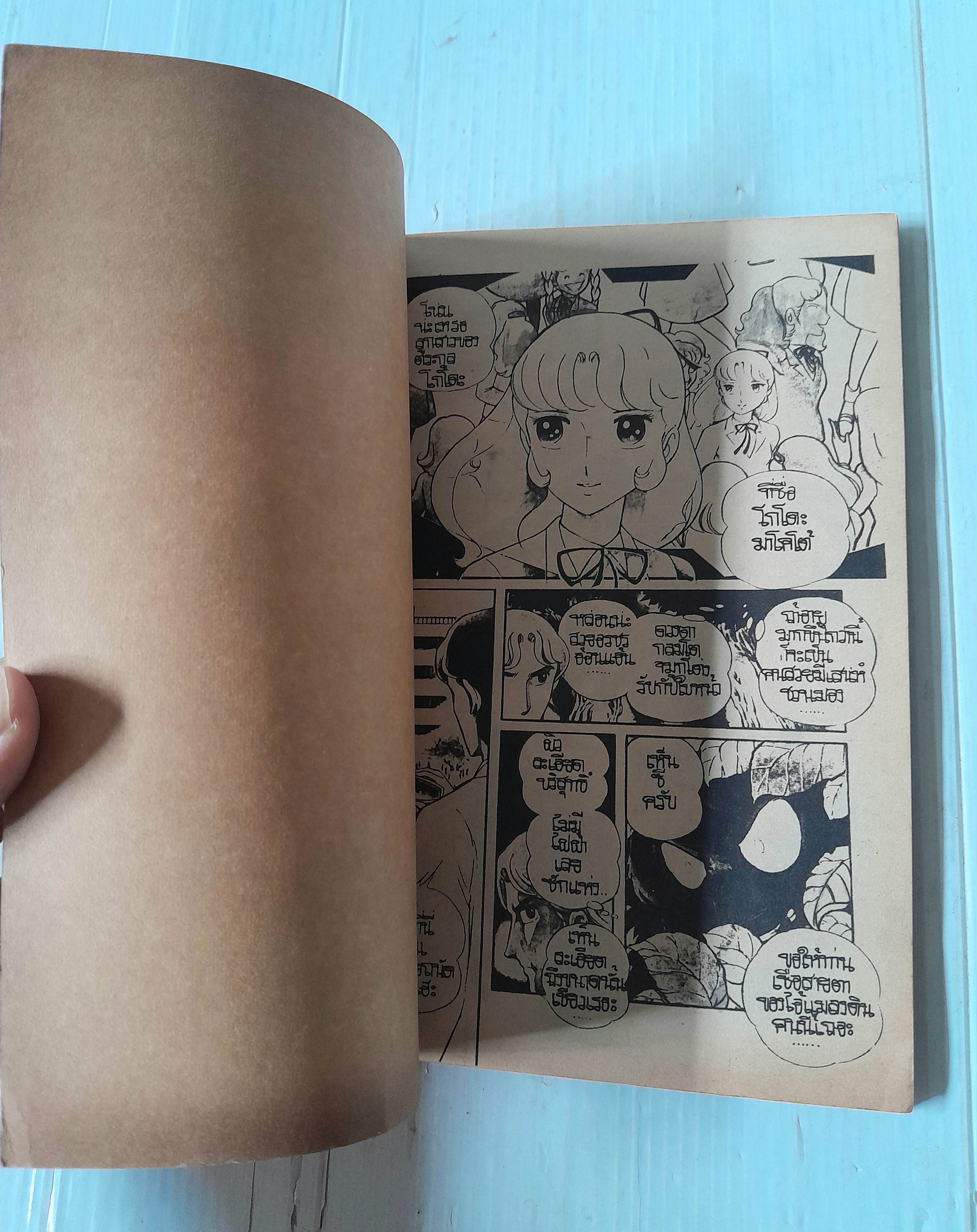 นินจา (เล่มเดียวจบ) / Shinji Wada