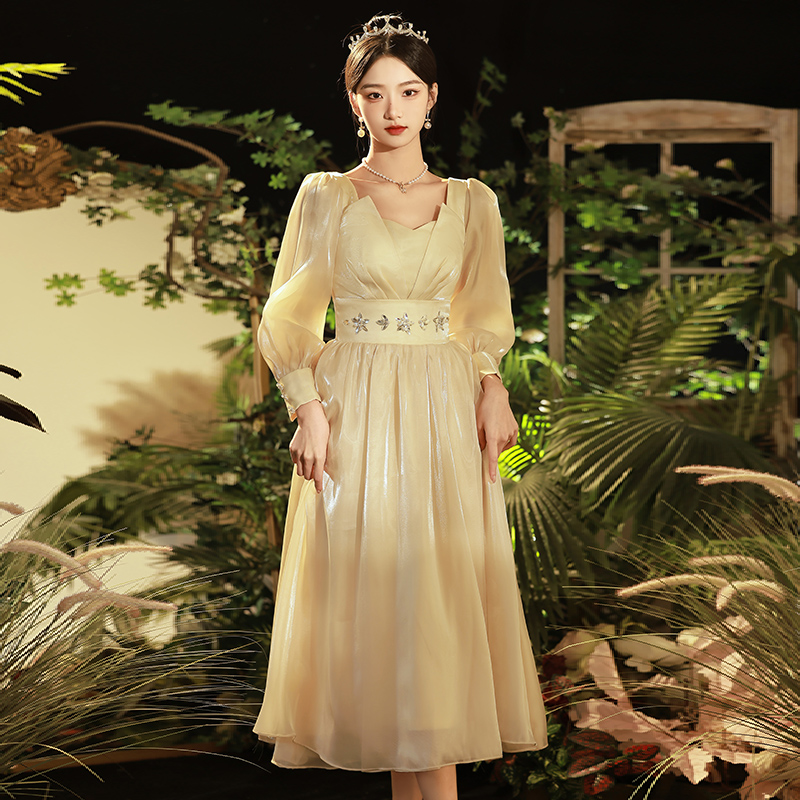 ชุดราตรี ชุดราตรีสวยหรู แบบ ทันสมัย Evening dress