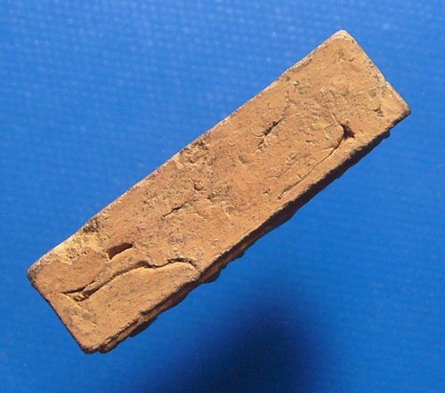 หลวงปู่สิงห์ วัดป่าชัยวัน