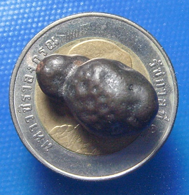 เต่าจิ๋ว