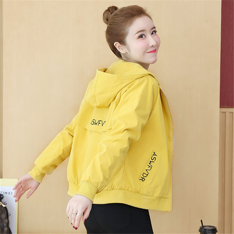 แจ็คเก็ต เสื้อคลุมแจ็คเก็ต