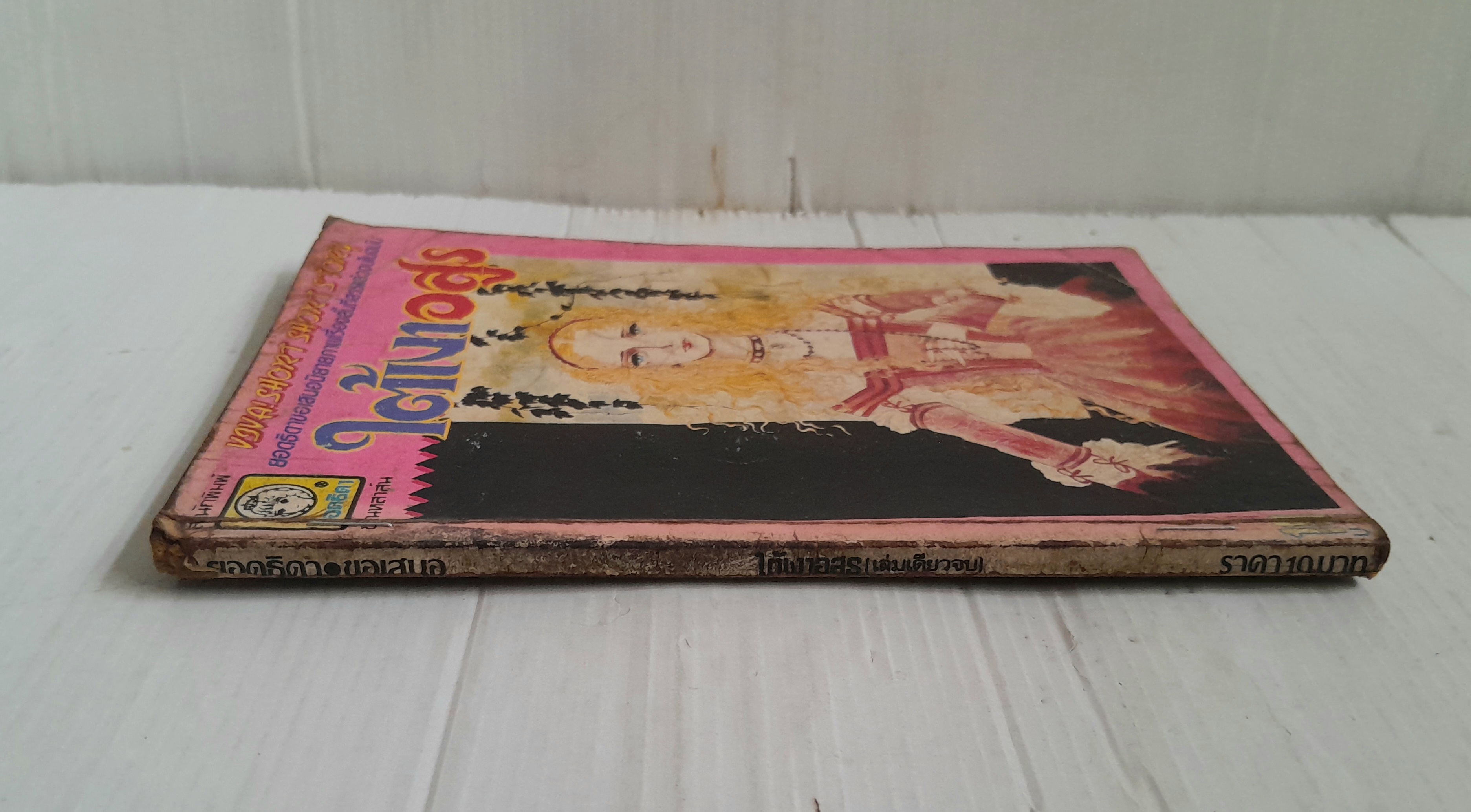 ใต้เงาอสูร (เล่มเดียวจบ)