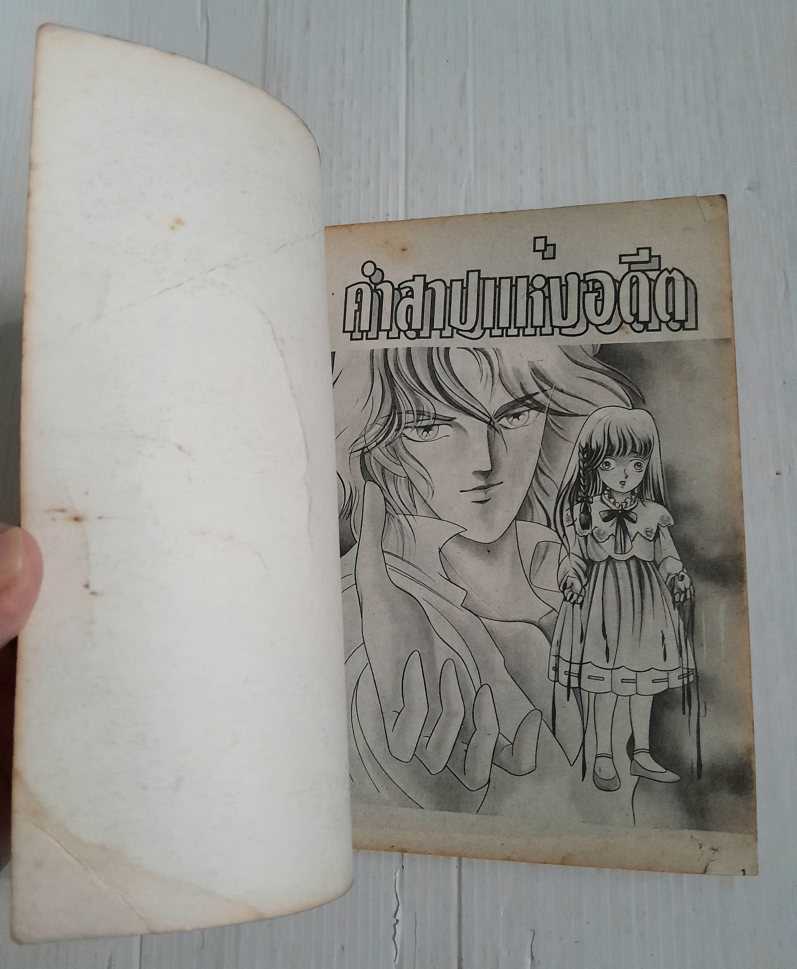 คำสาปแห่งอดีต (เล่มเดียวจบ)