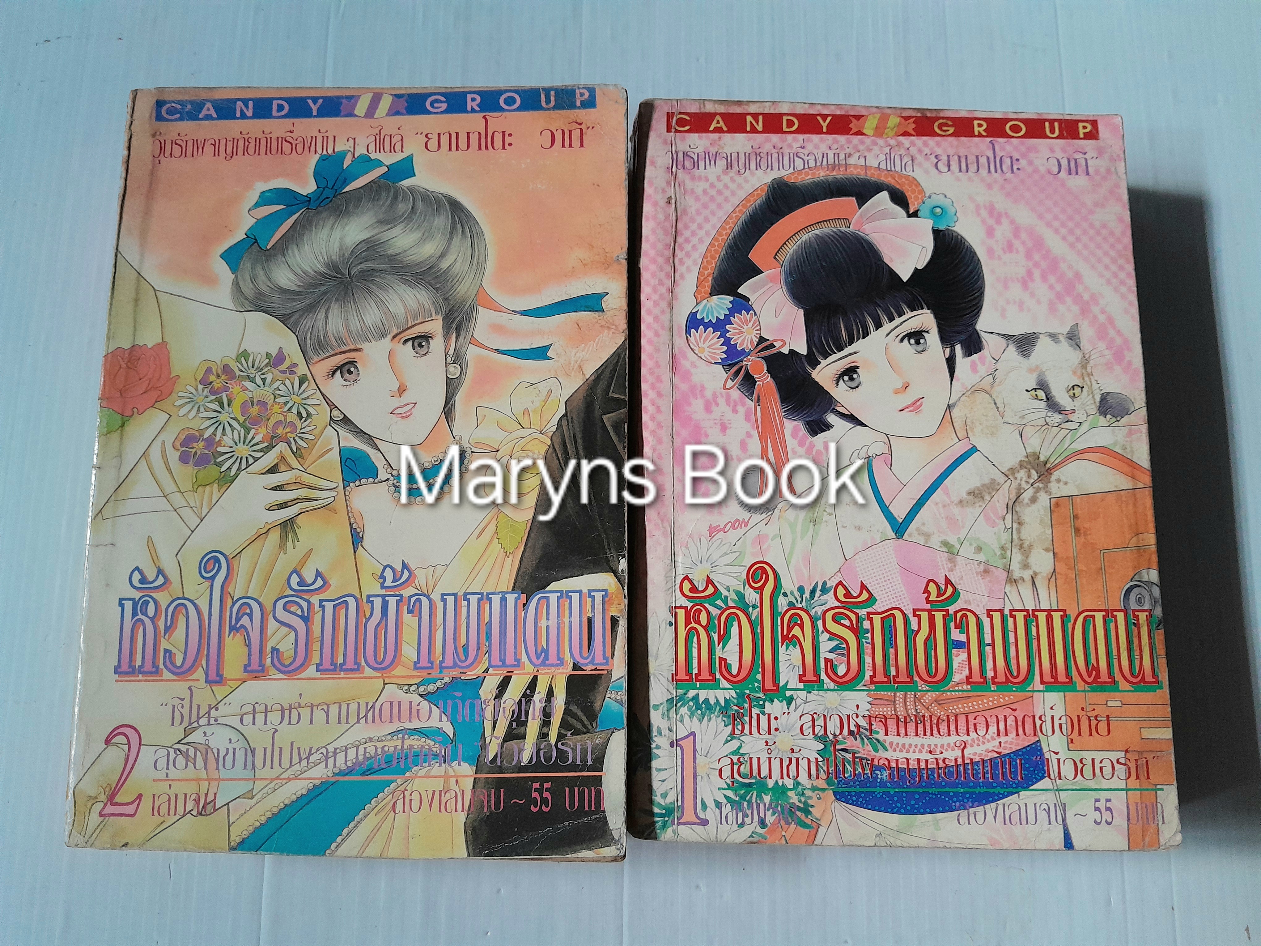 หัวใจรักข้ามแดน 2 เล่มจบ / ยามาโตะ วากิ