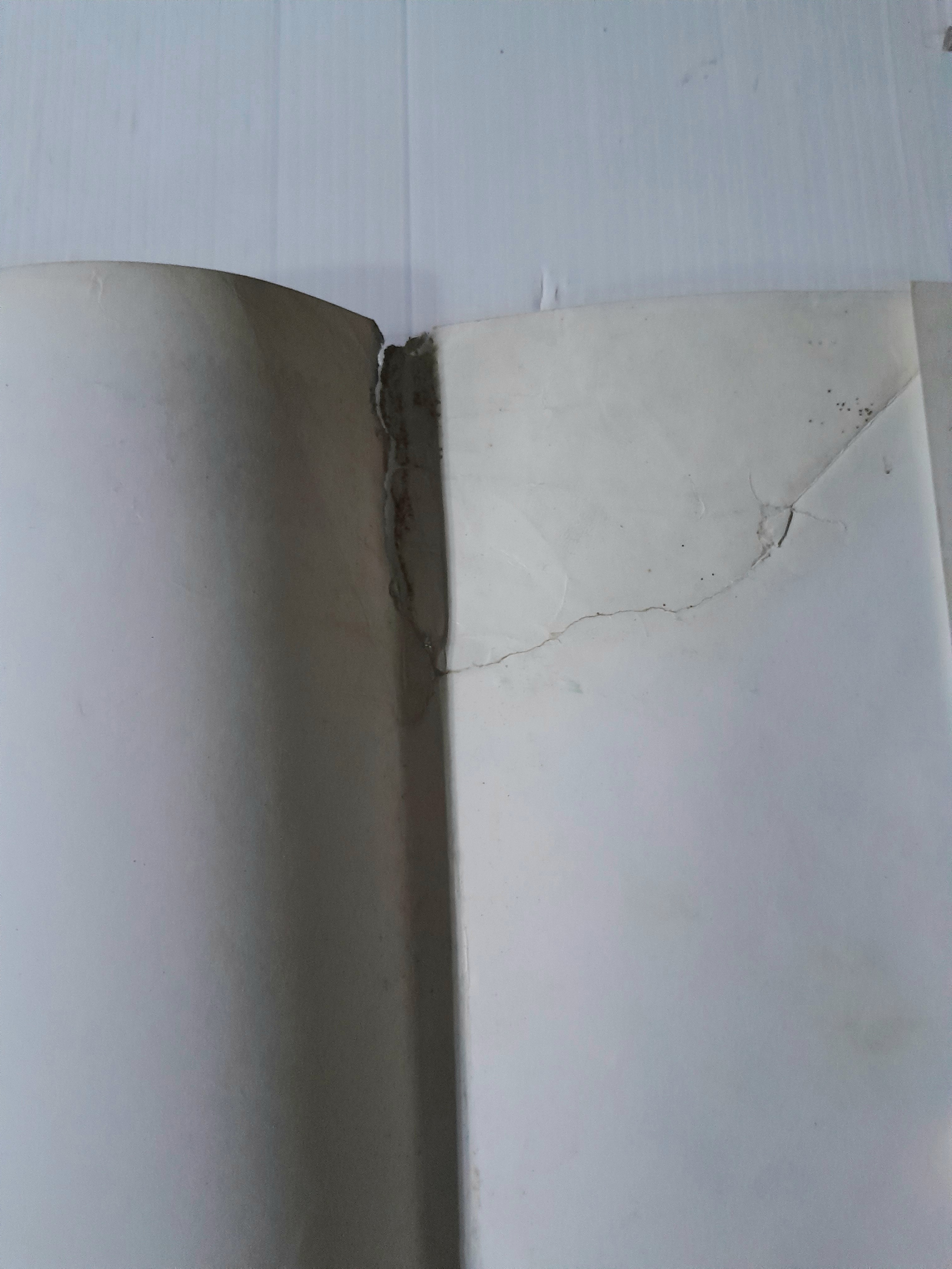 ใต้ร่มเงาแห่งรัก 3 เล่มจบ / Tsukasa Hojo