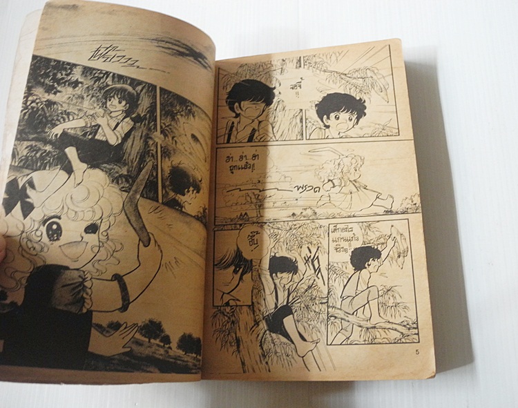 จอร์จี้ เล่ม 1 (2 เล่มจบ) / อิงาราชิ ยูมิโกะ