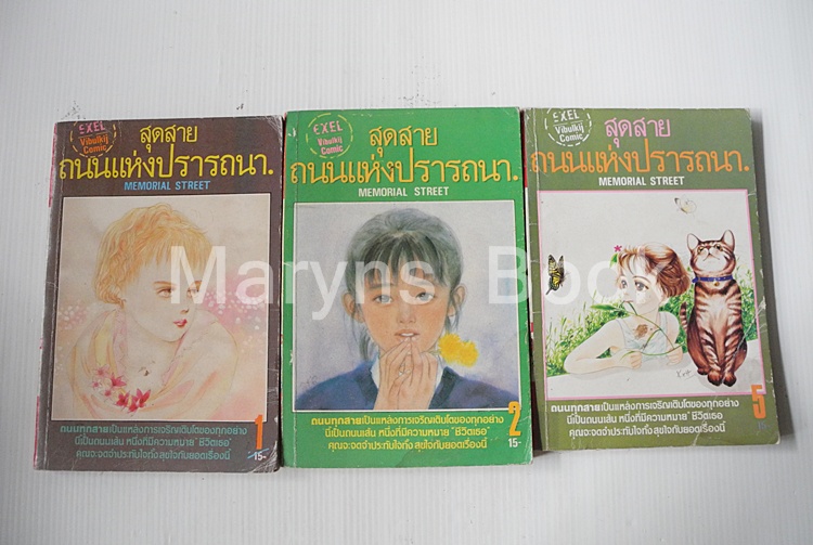สุดสายถนนแห่งปรารถนา เล่ม 1-2,5 ( รวม 3 เล่มค่ะ )